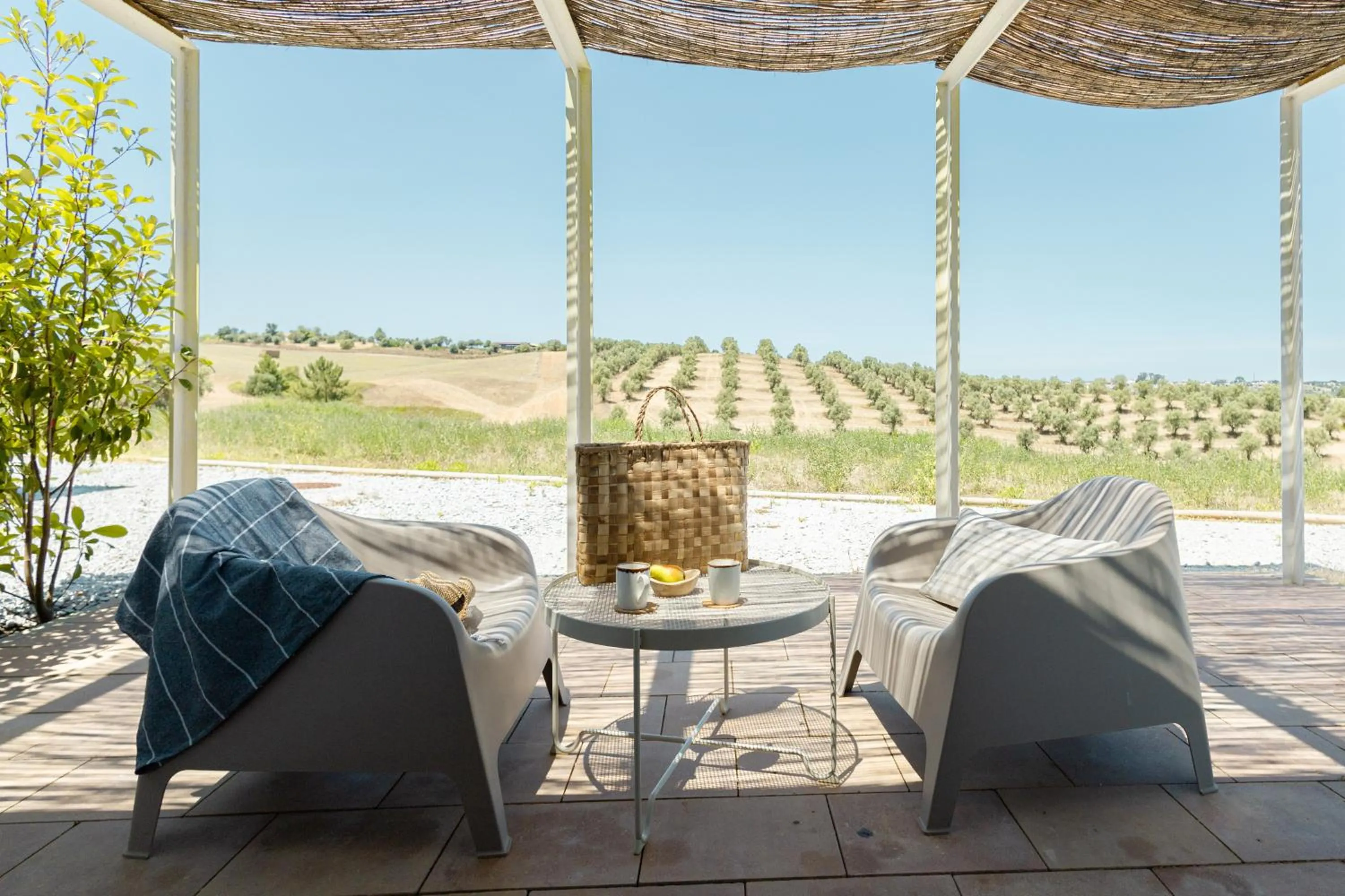 Balcony/Terrace in Sleep & Nature Hotel