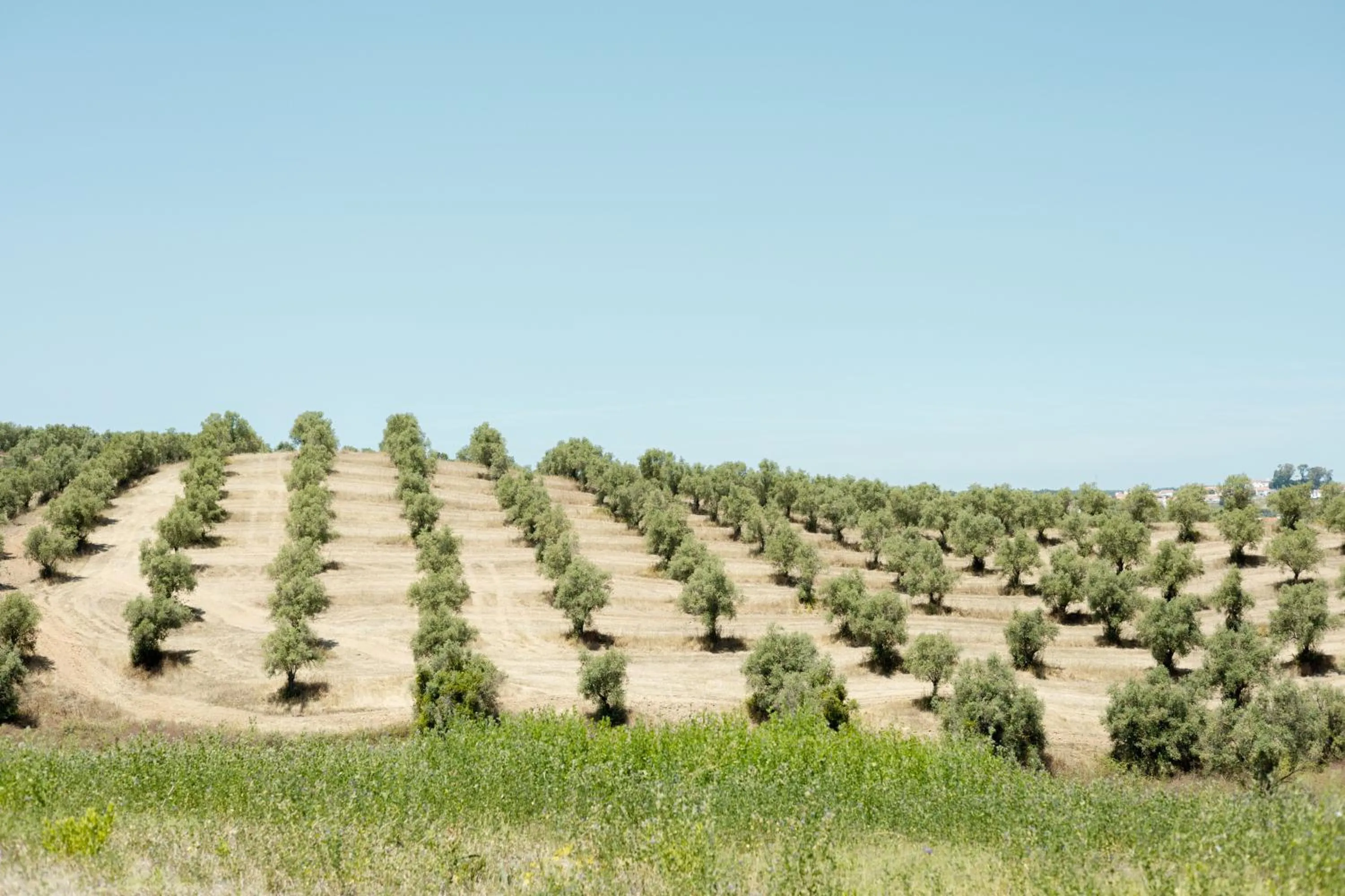 Natural landscape in Sleep & Nature Hotel