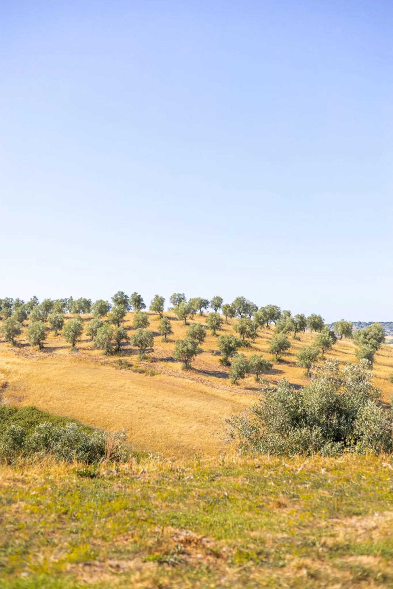 View (from property/room) in Sleep & Nature Hotel