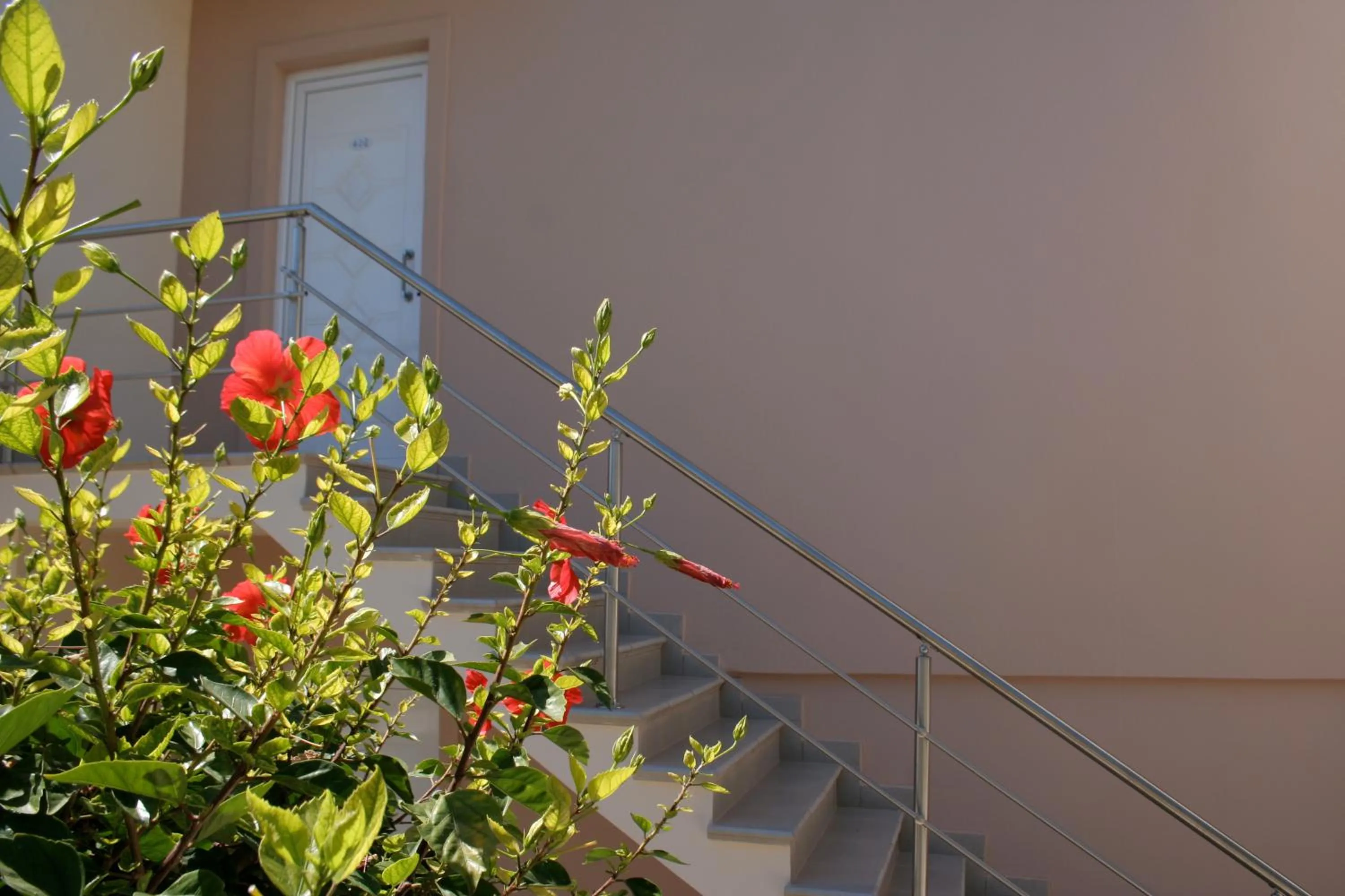 Garden view in Amaryllis front beach hotel