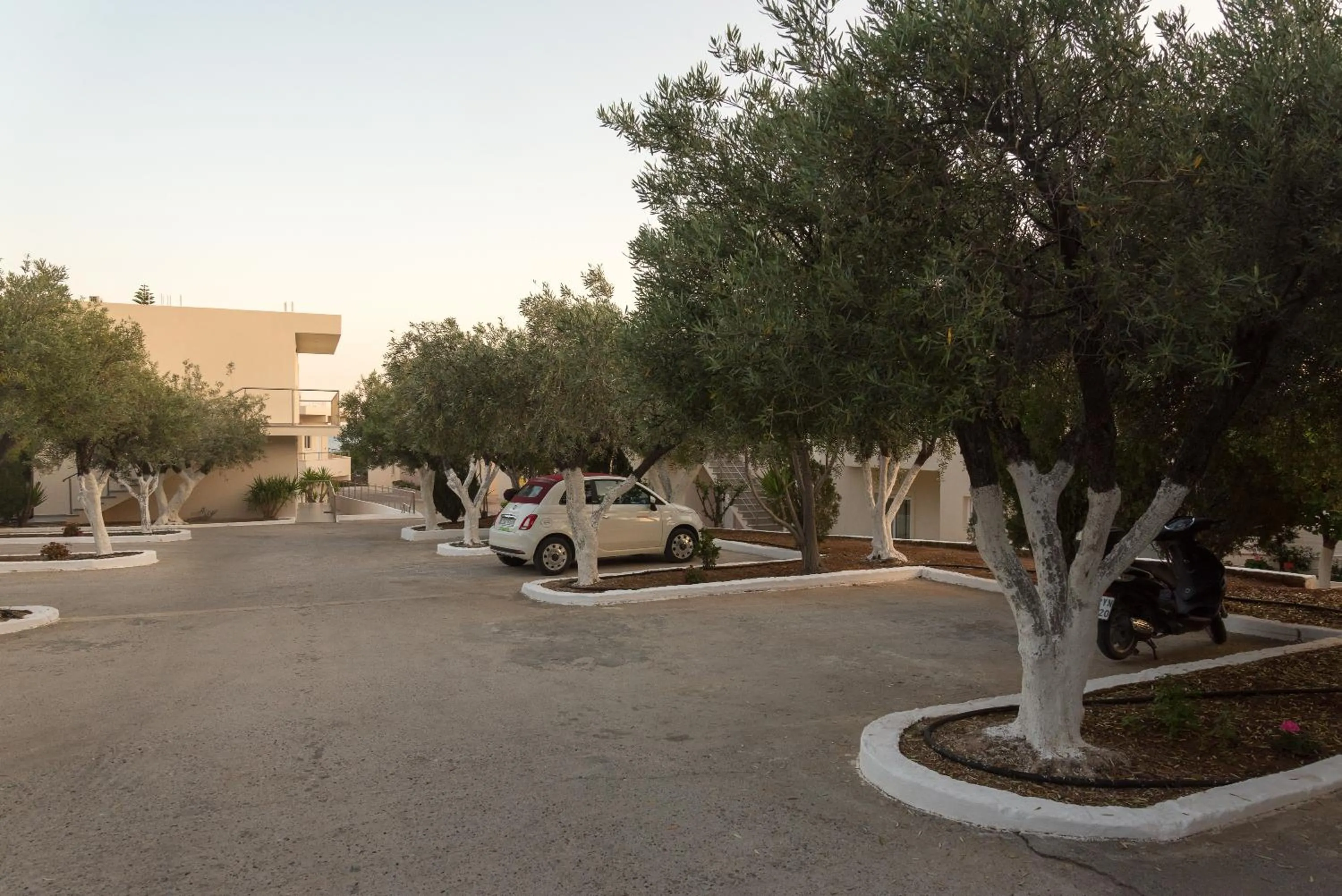 Day in Amaryllis front beach hotel