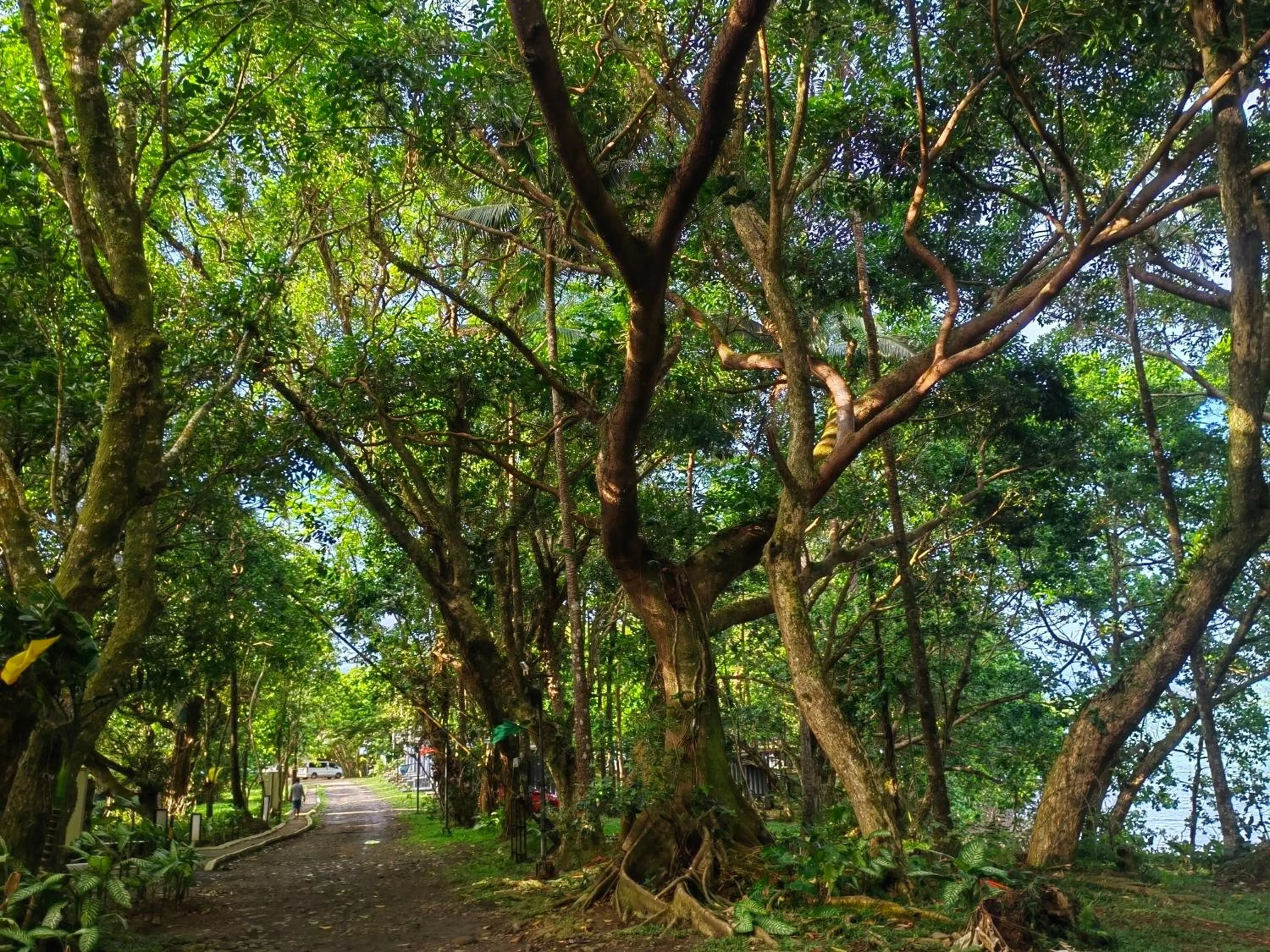 Natural landscape in Kaliraya Surf Kamp by Eco Hotels