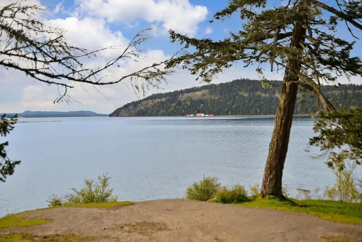 Dragonfly Cottage by EMR Vacation Rentals