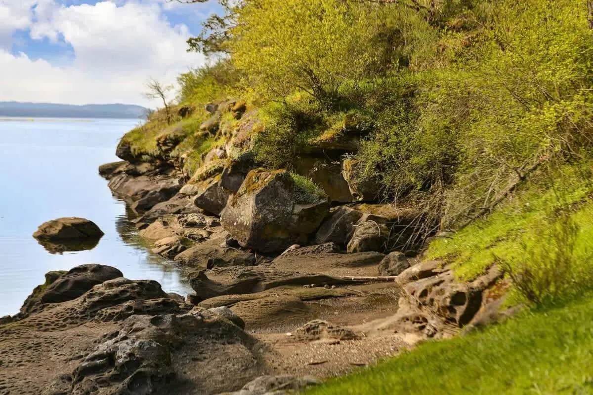 Dragonfly Cottage by EMR Vacation Rentals