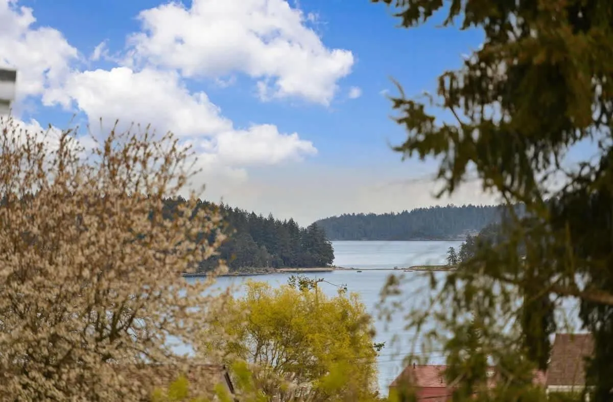 Dragonfly Cottage by EMR Vacation Rentals