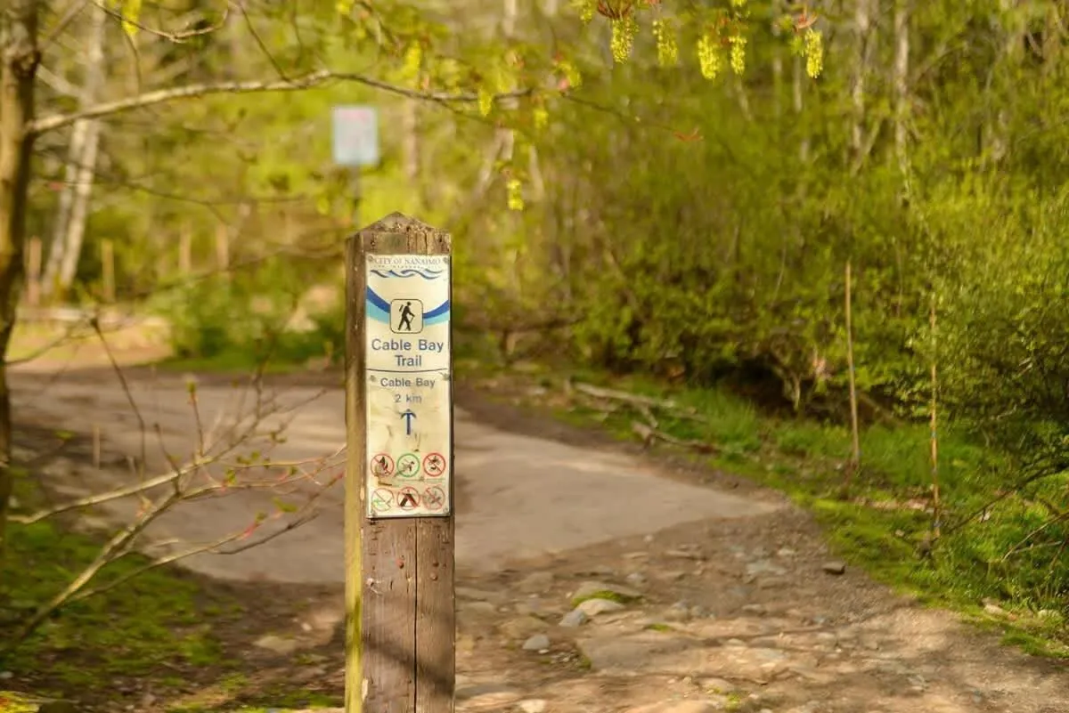 Dragonfly Cottage by EMR Vacation Rentals