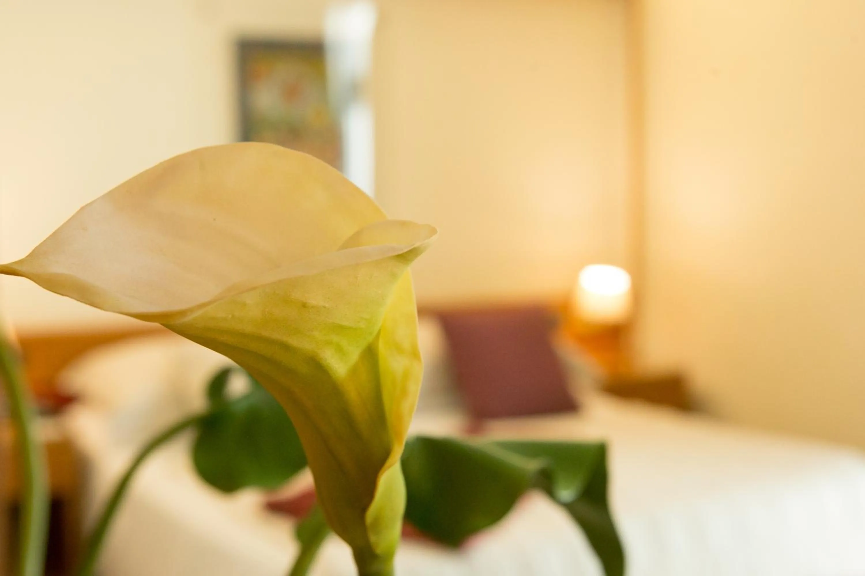 Decorative detail, Bed in Best Western Hotel Dei Cavalieri