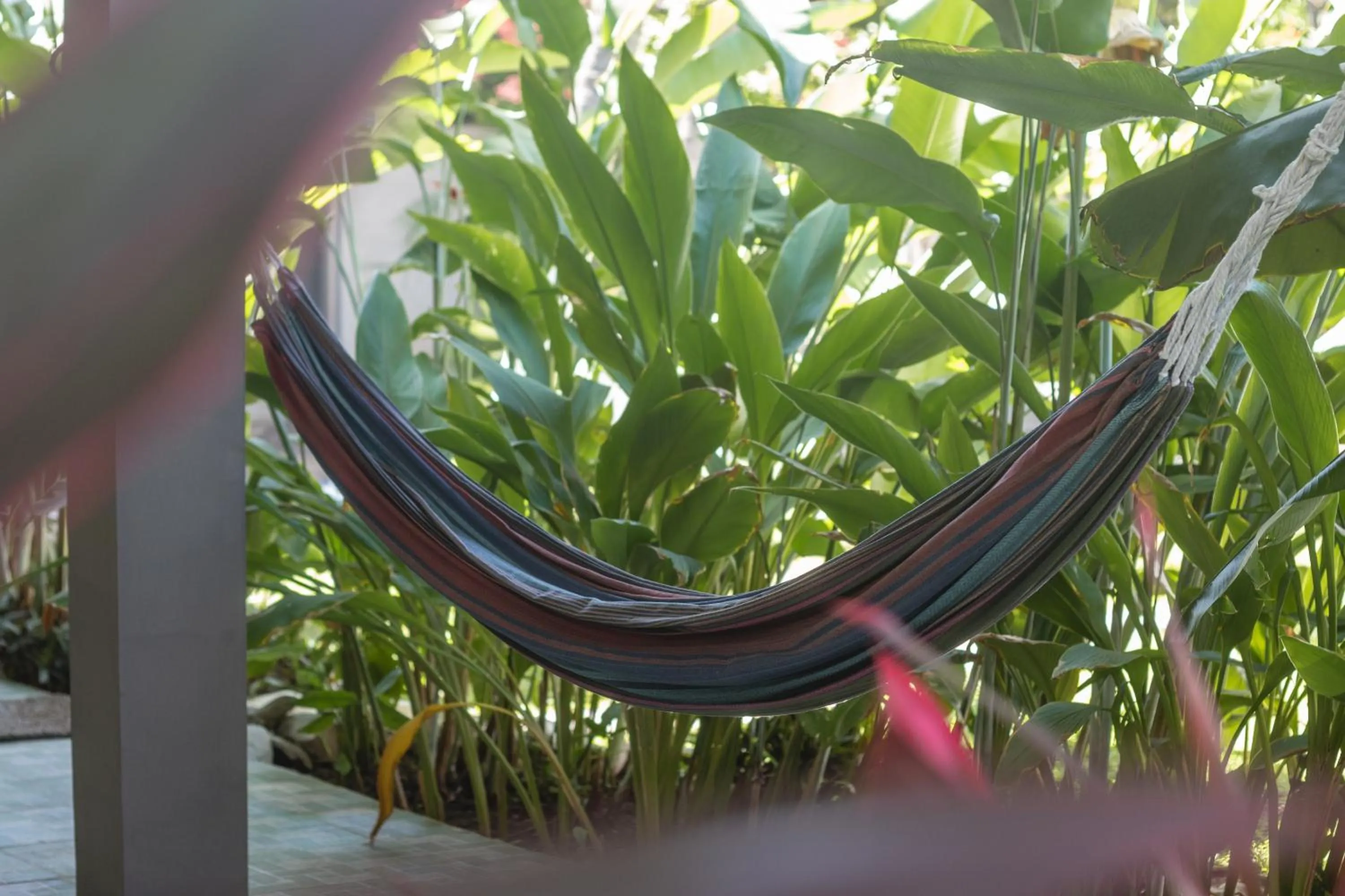 Balcony/Terrace in La Canasta