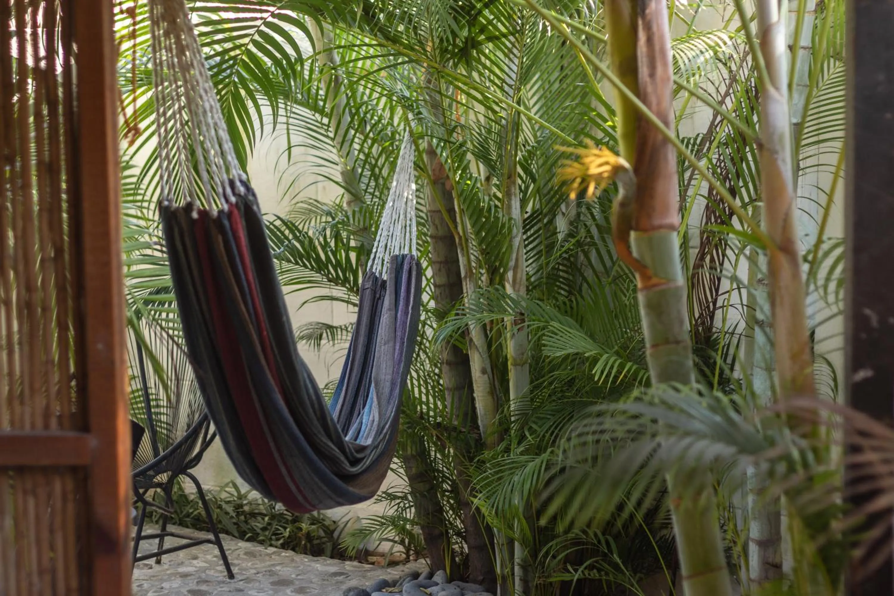 Garden in La Canasta