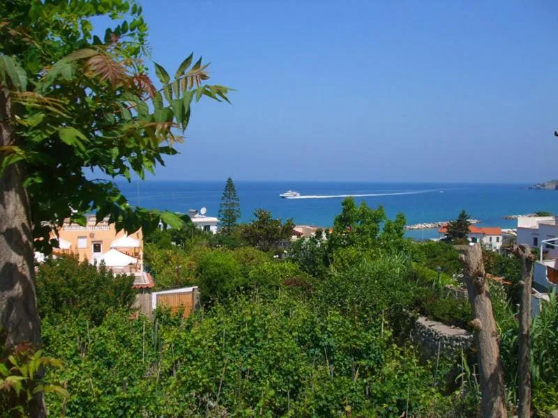 Sea view in Albergo Villa Hibiscus