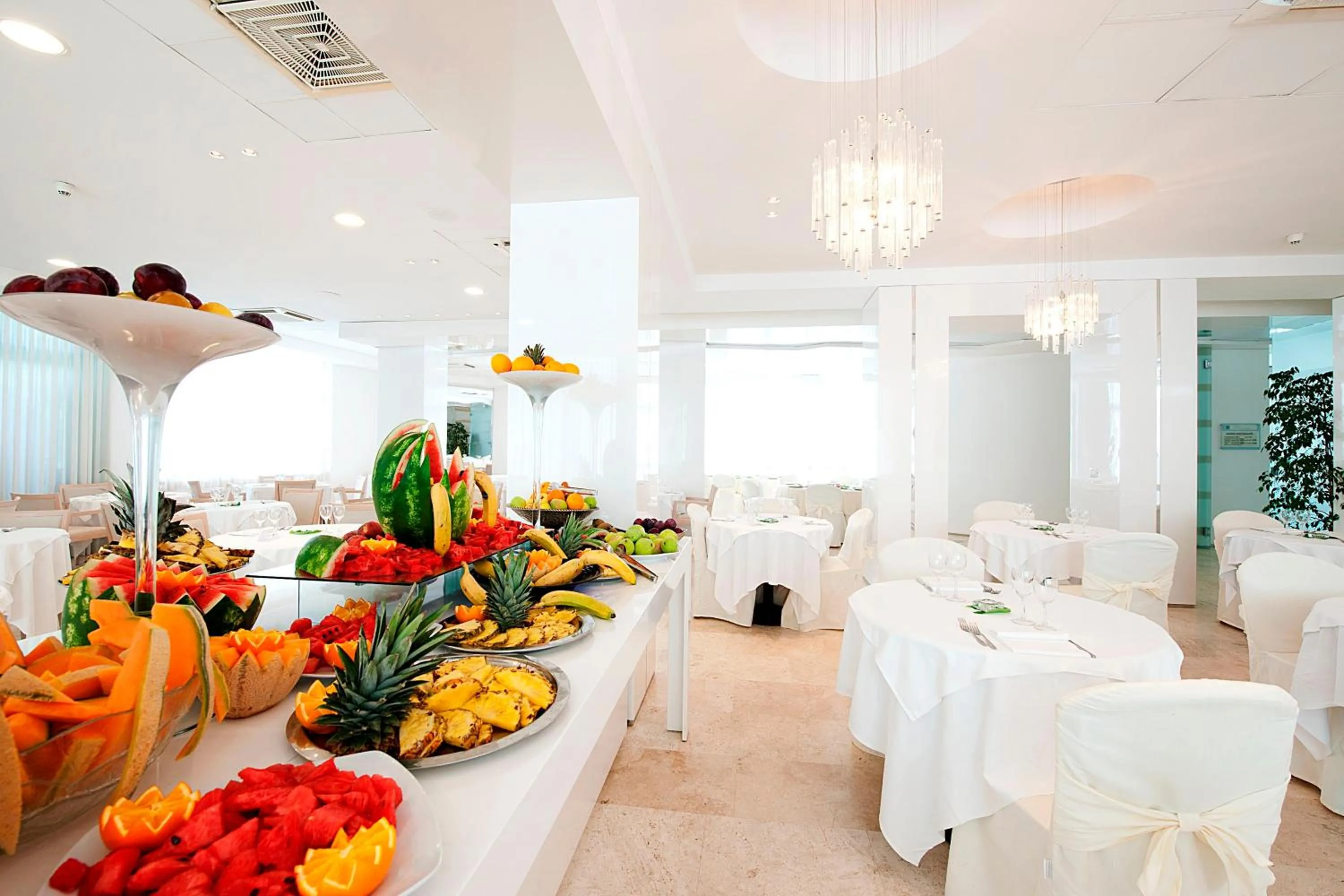 Restaurant/places to eat in Hotel Excelsior