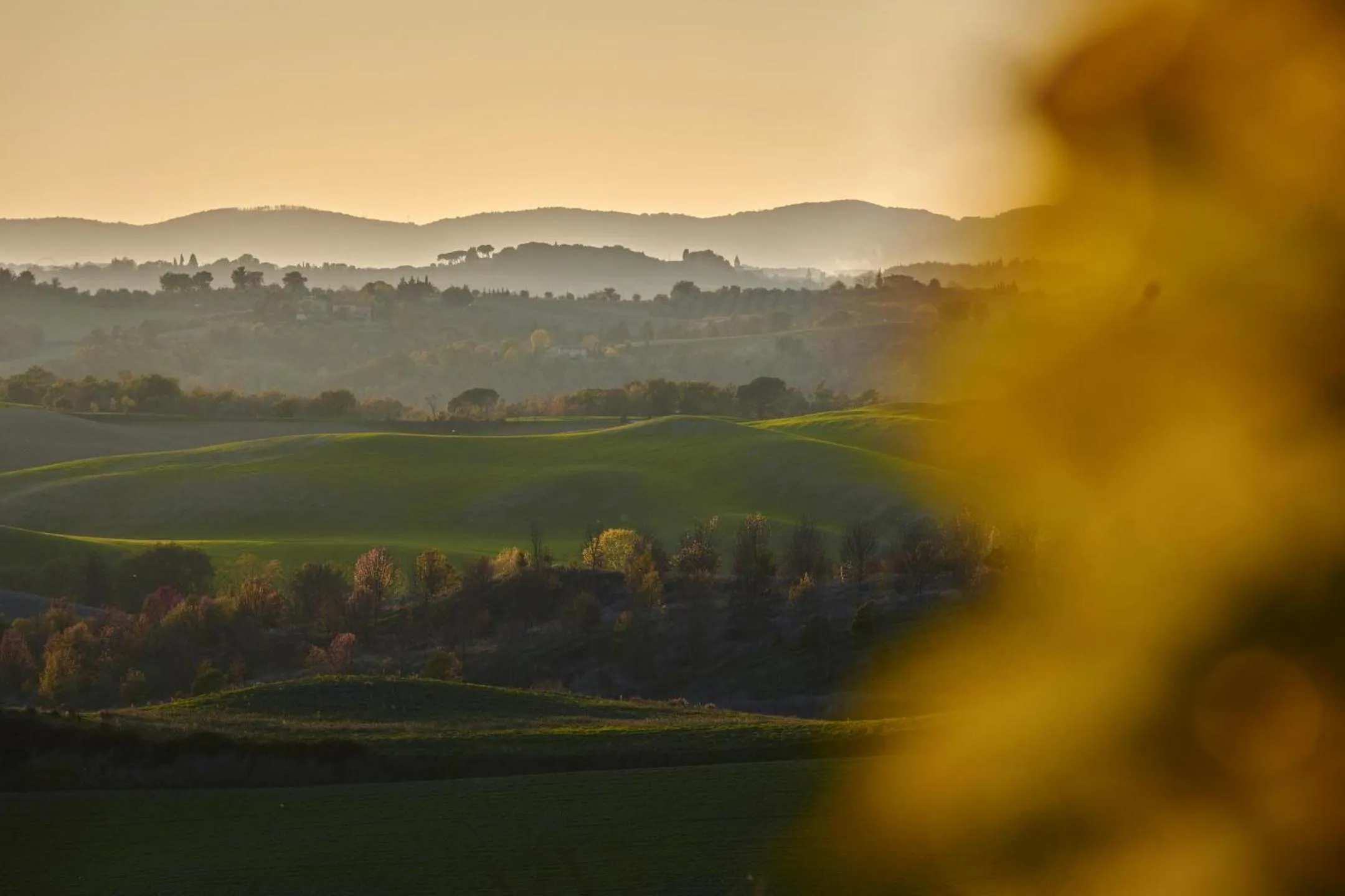 Garden view in Villa Curina Resort