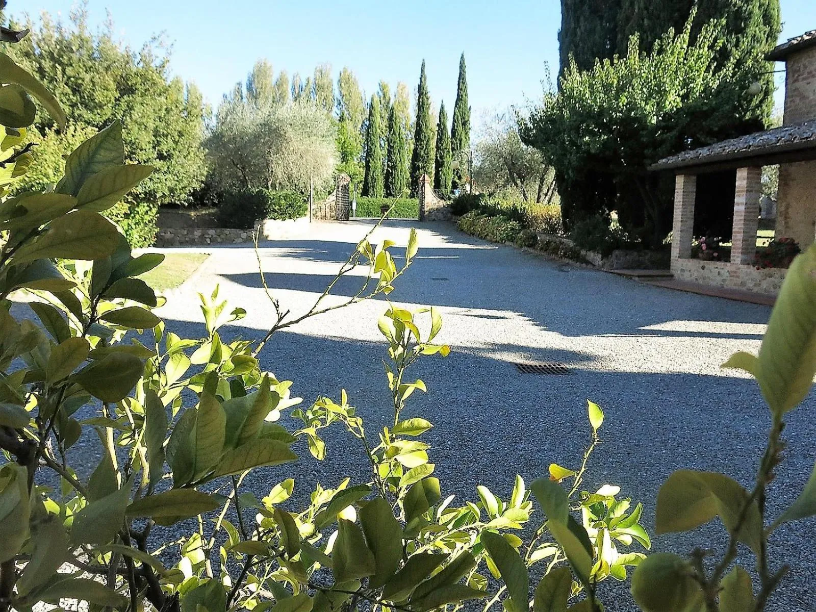 Garden in Villa Curina Resort