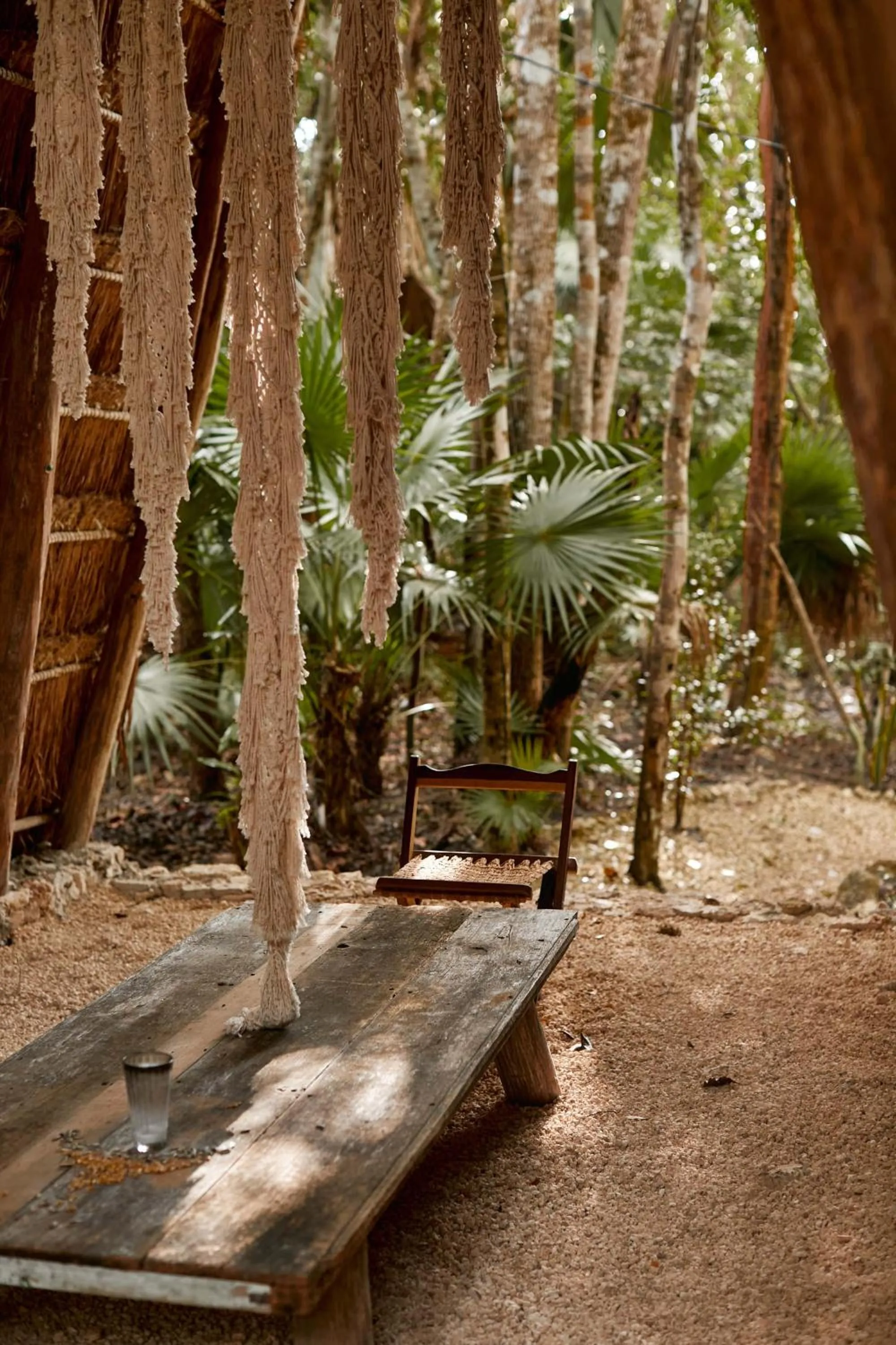 Garden in Kapok Bacalar - Plant Based Hotel