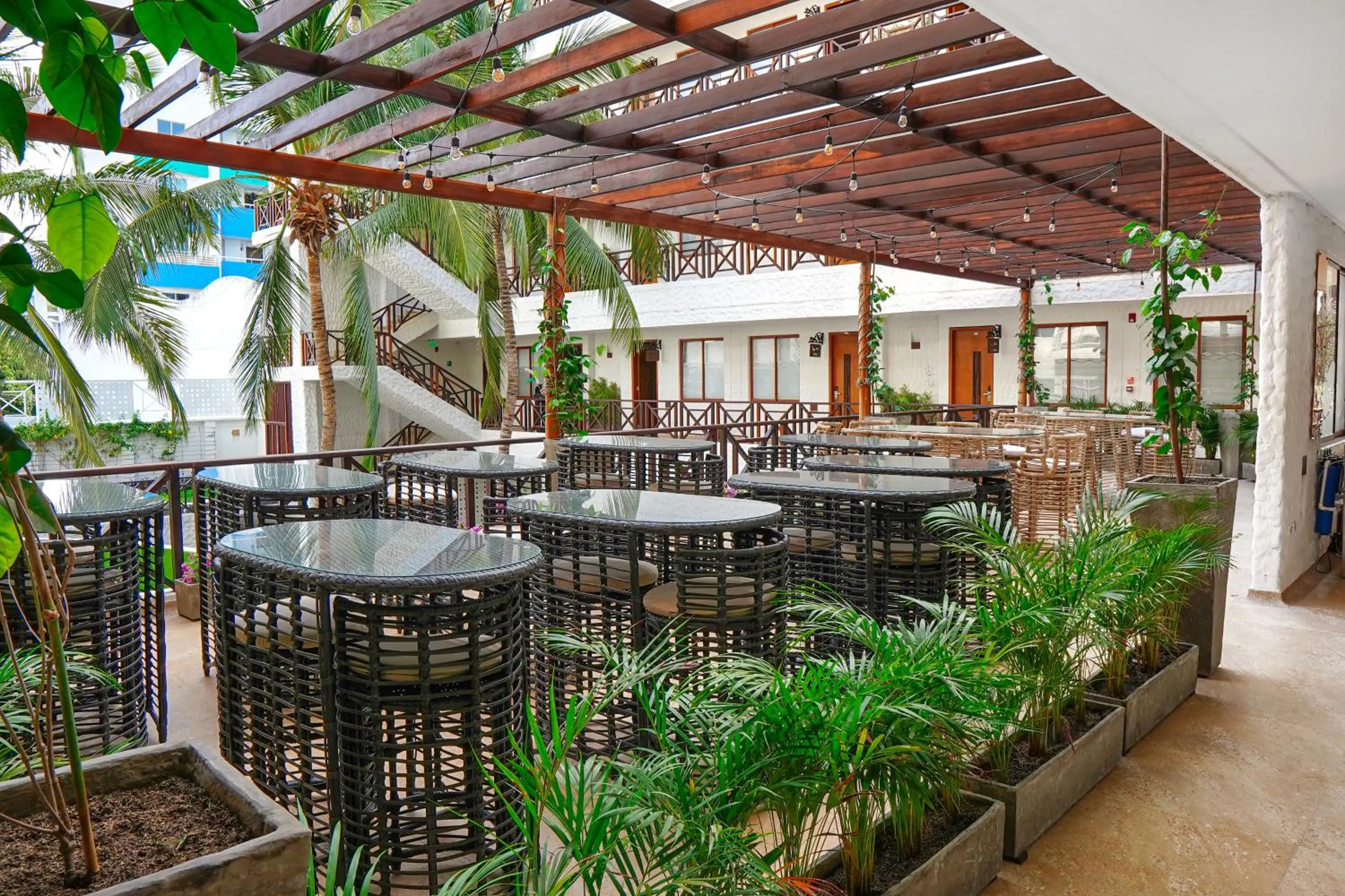 Garden in HOTEL KARAYA DIVE RESORT