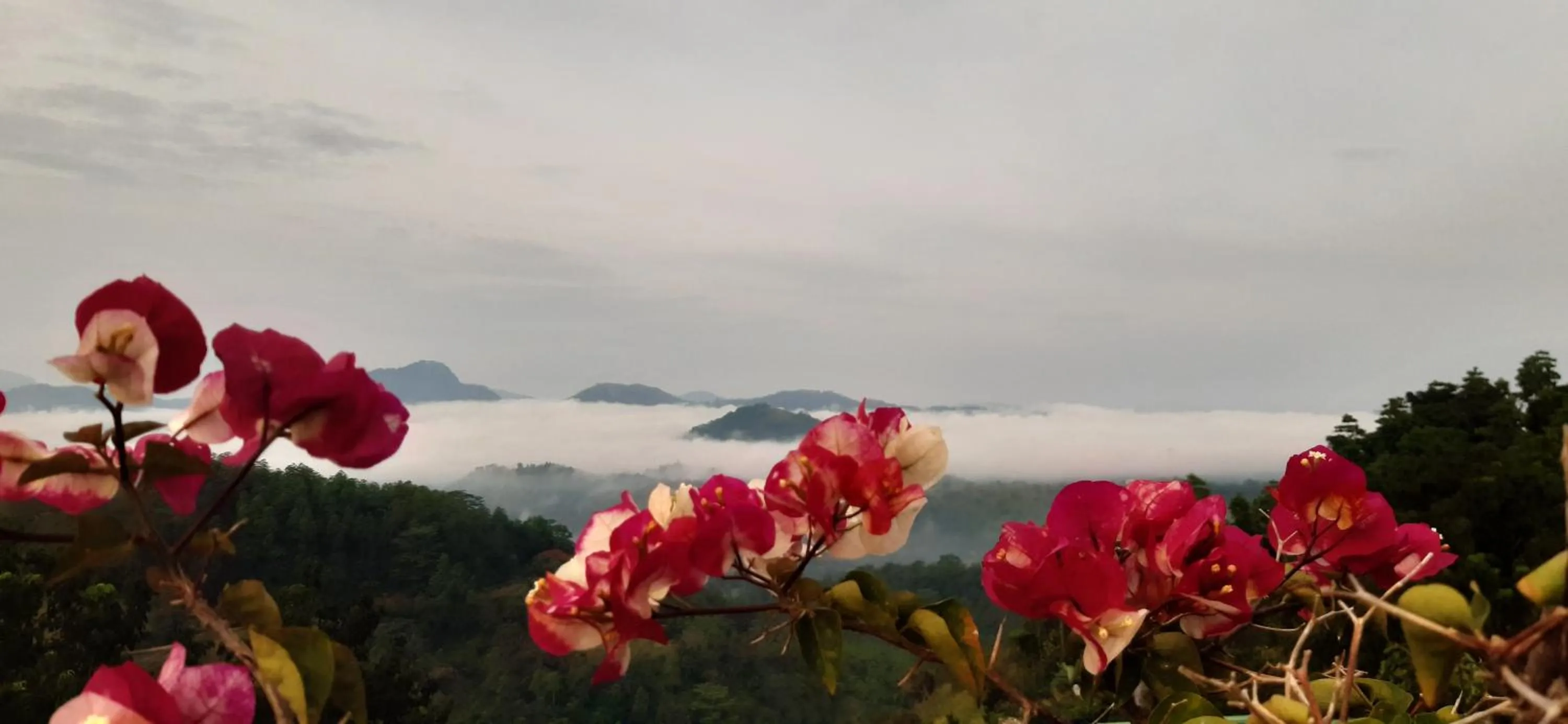 Mountain view in Sky Lodge