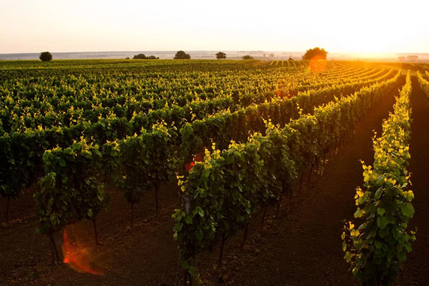 Activities in JUFA Hotel Neutal