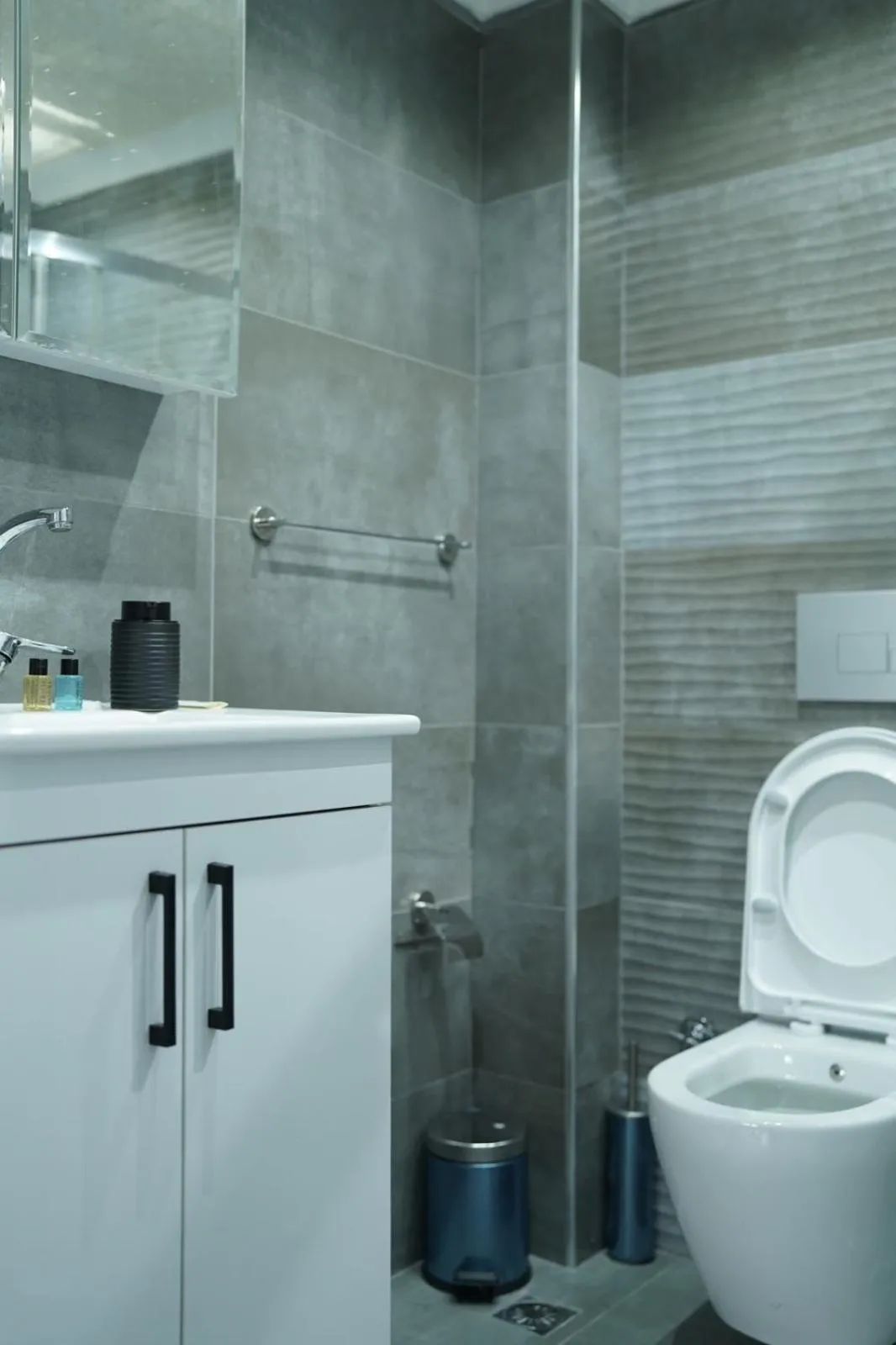 Toilet in Middle Village