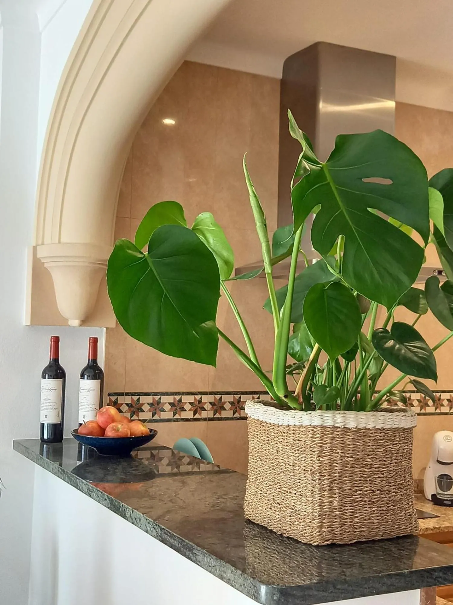 Kitchen or kitchenette in Hotel Nou Can Guillem