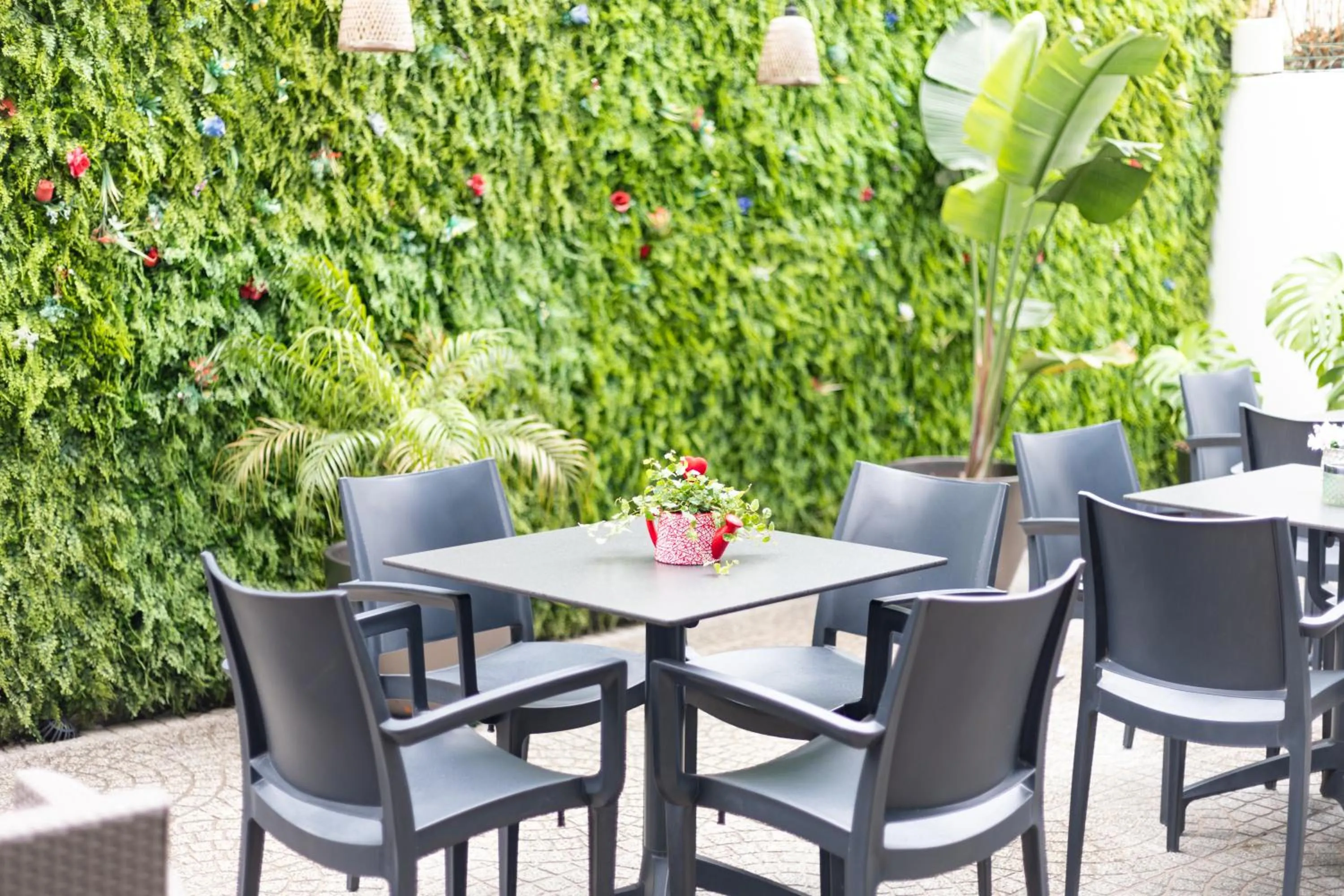 Garden in Avenue 41 Guest House