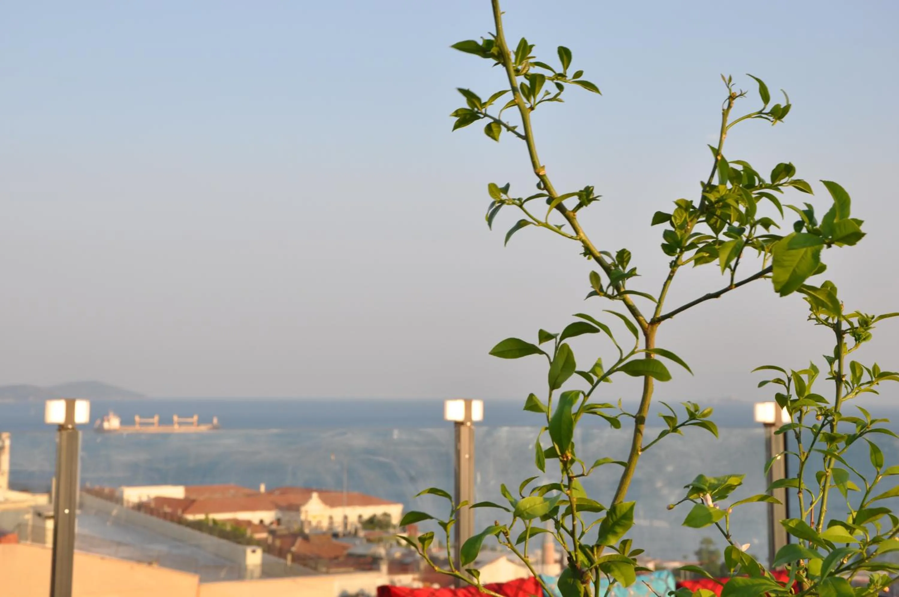 Restaurant/places to eat in Olimpic Hotel