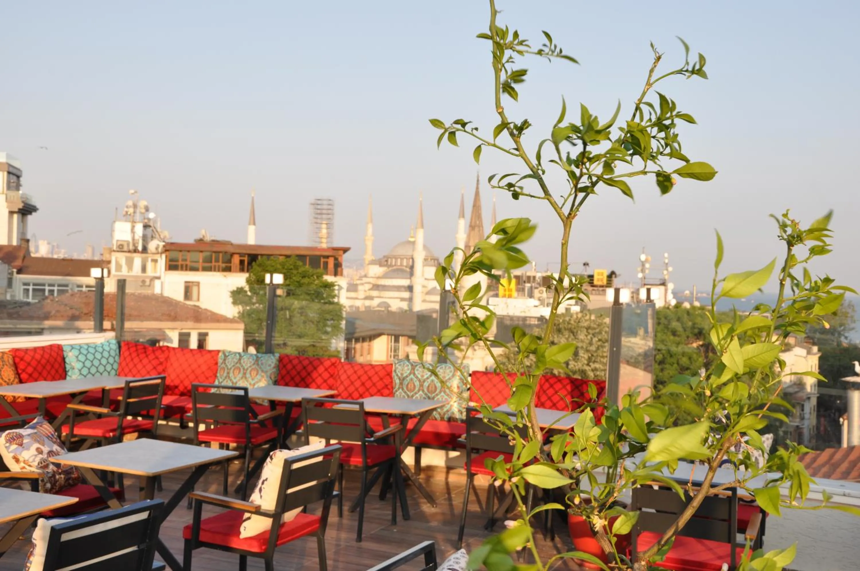 Restaurant/places to eat in Olimpic Hotel