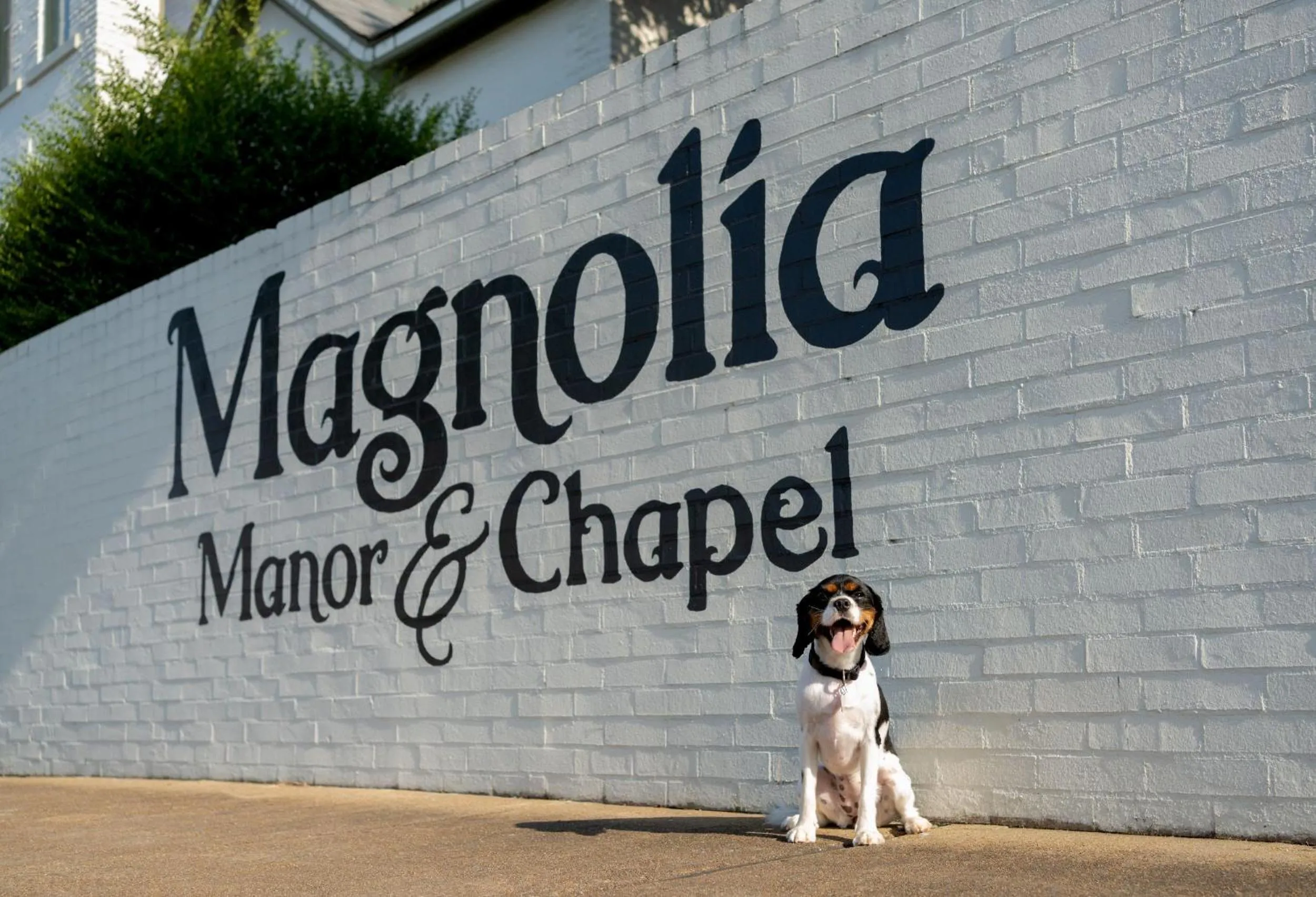 Pets in Magnolia Manor and Chapel