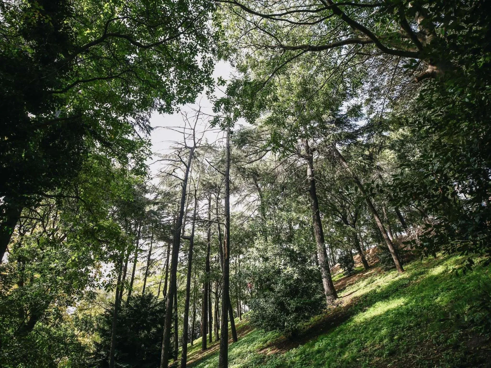 Other in Swissotel The Bosphorus Istanbul