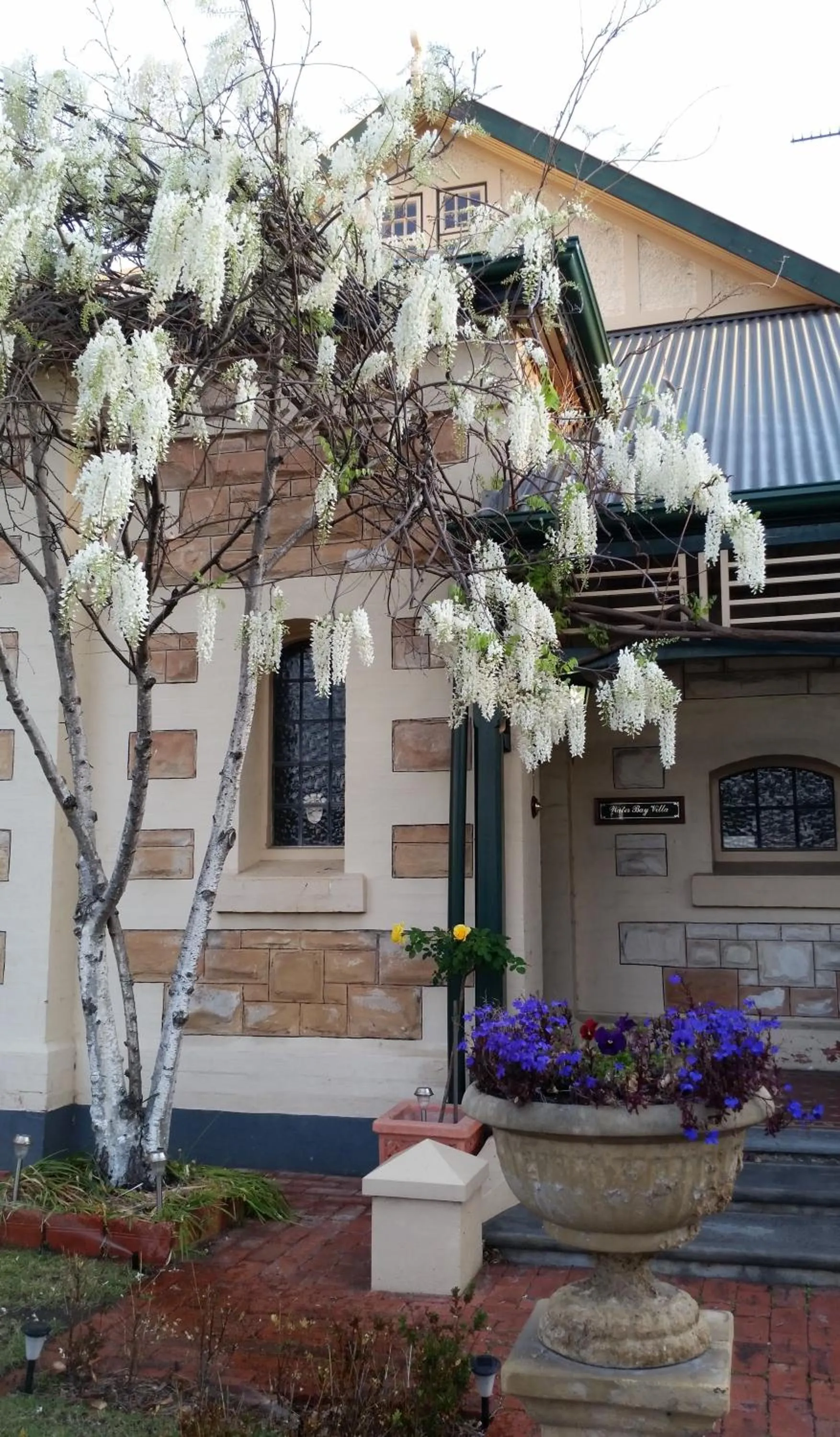 Facade/entrance in Water Bay Villa Bed & Breakfast