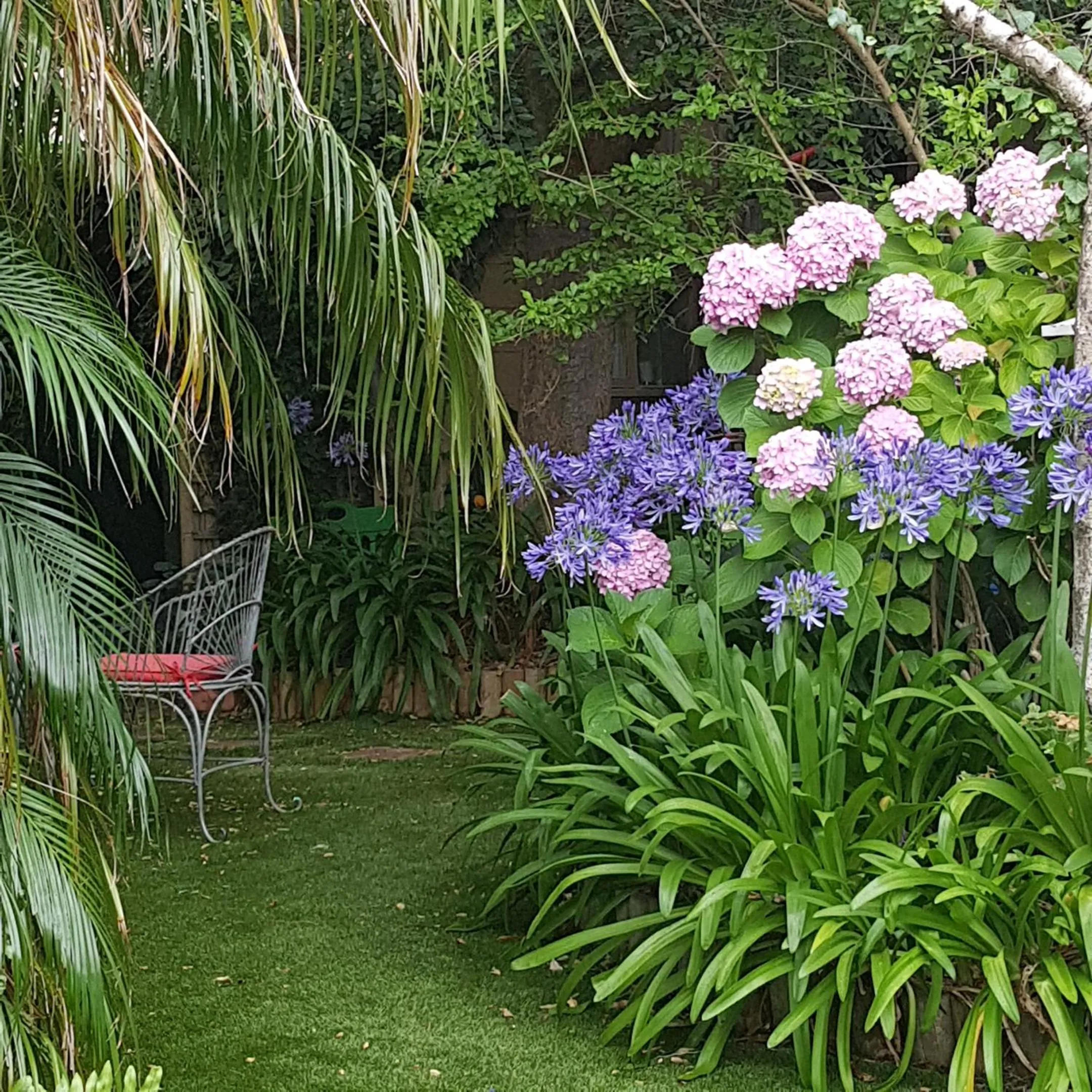 Garden in Water Bay Villa Bed & Breakfast