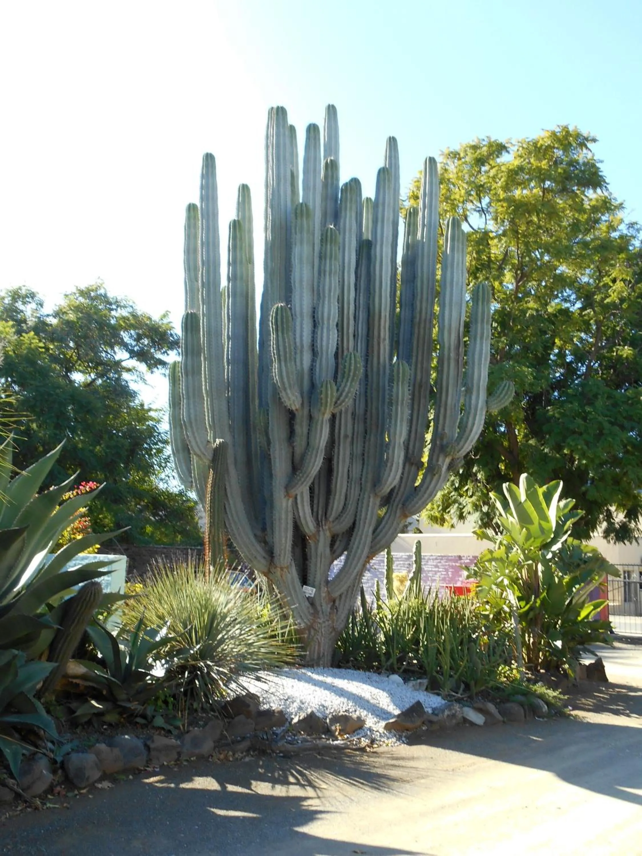 Property building in Obesa Lodge