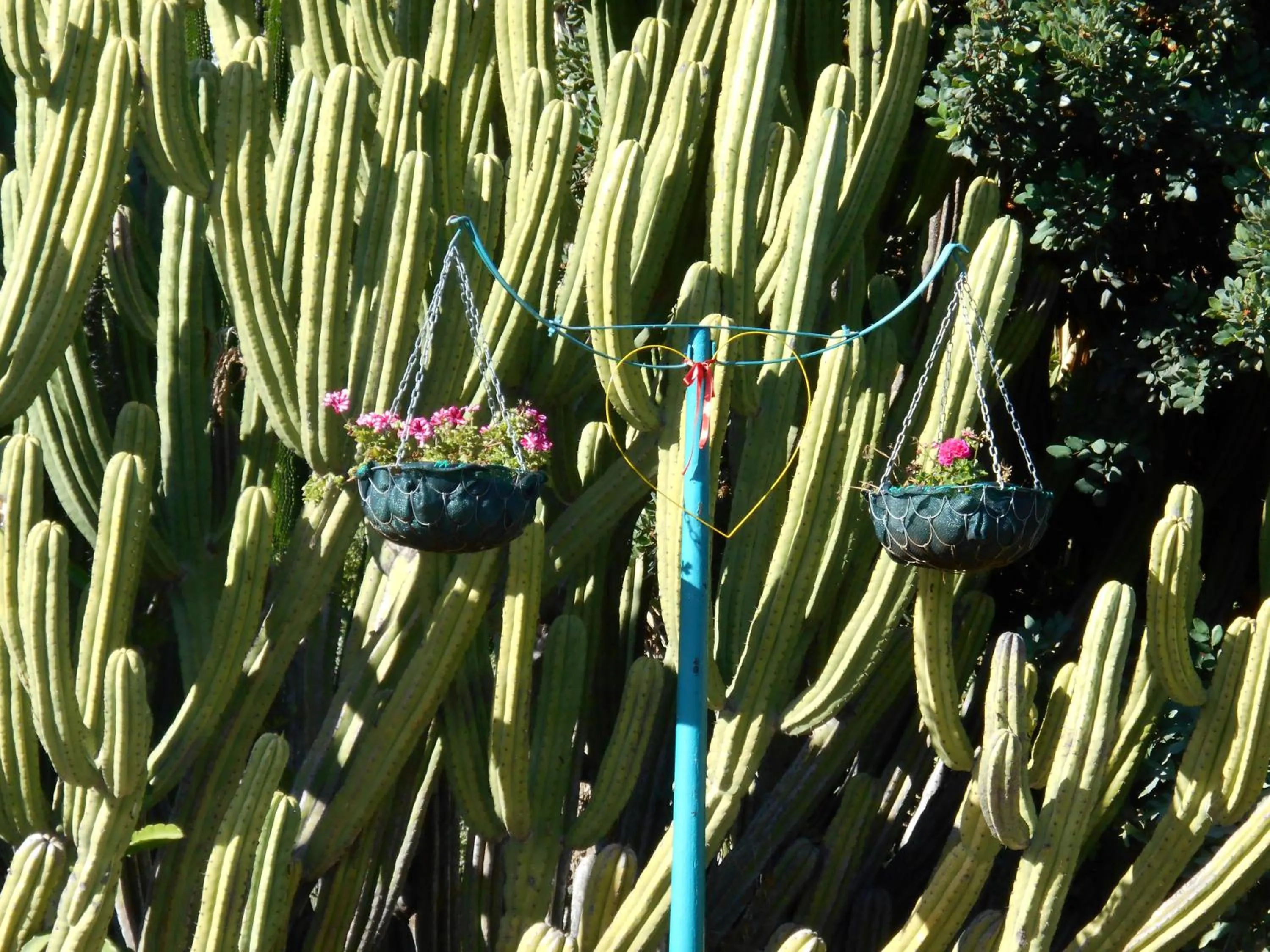Street view in Obesa Lodge