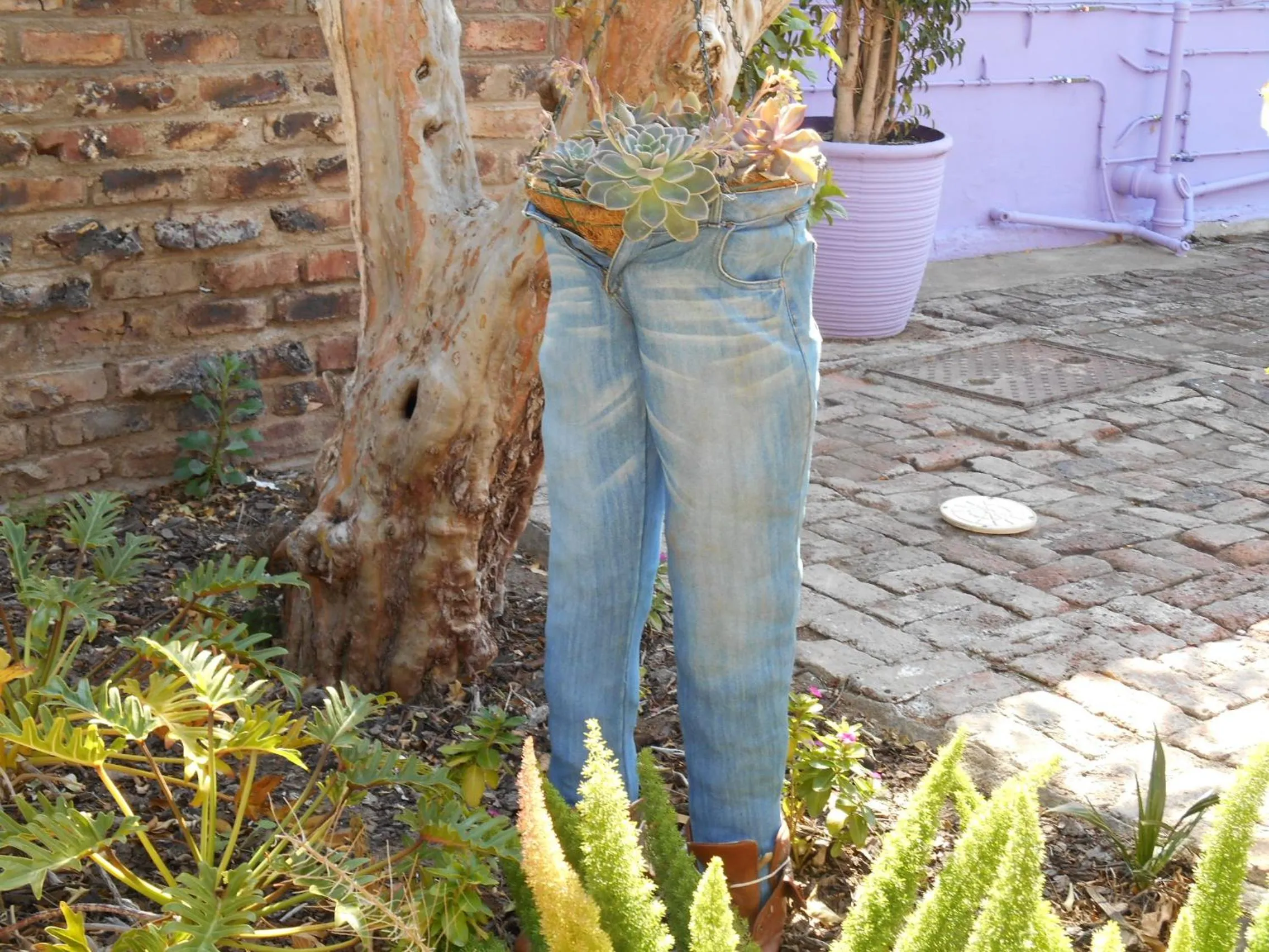 Garden in Obesa Lodge
