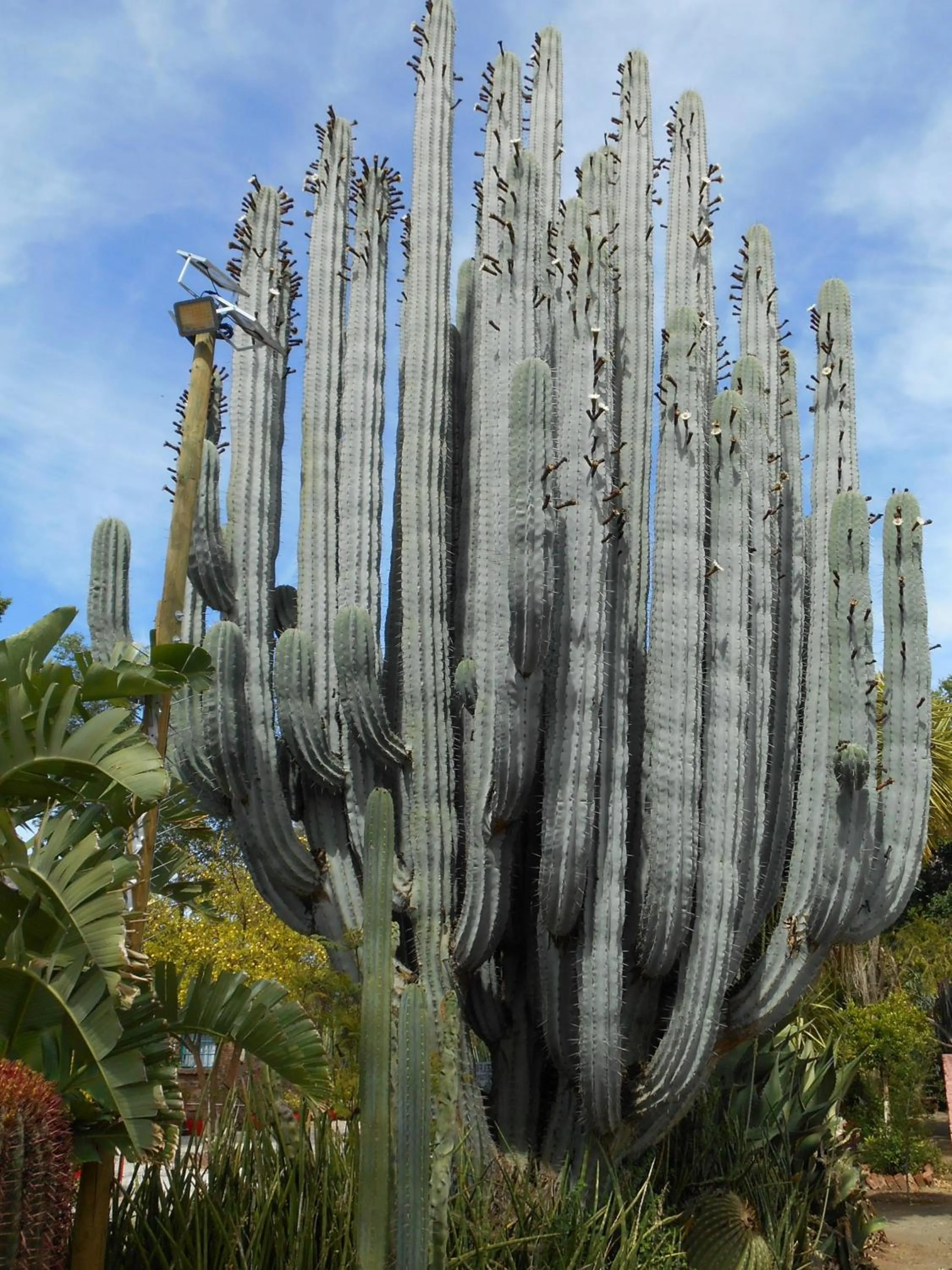 Property building in Obesa Lodge