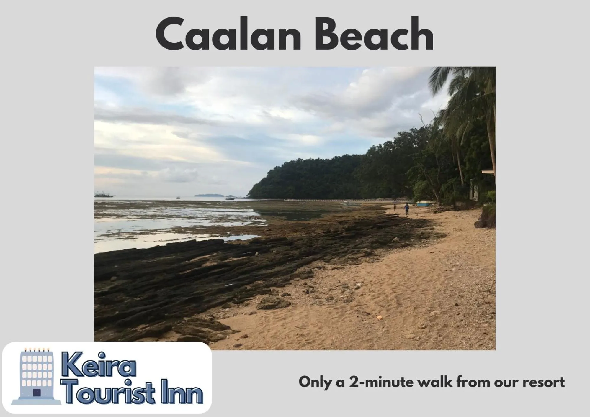 Natural landscape in Keira Backpackers