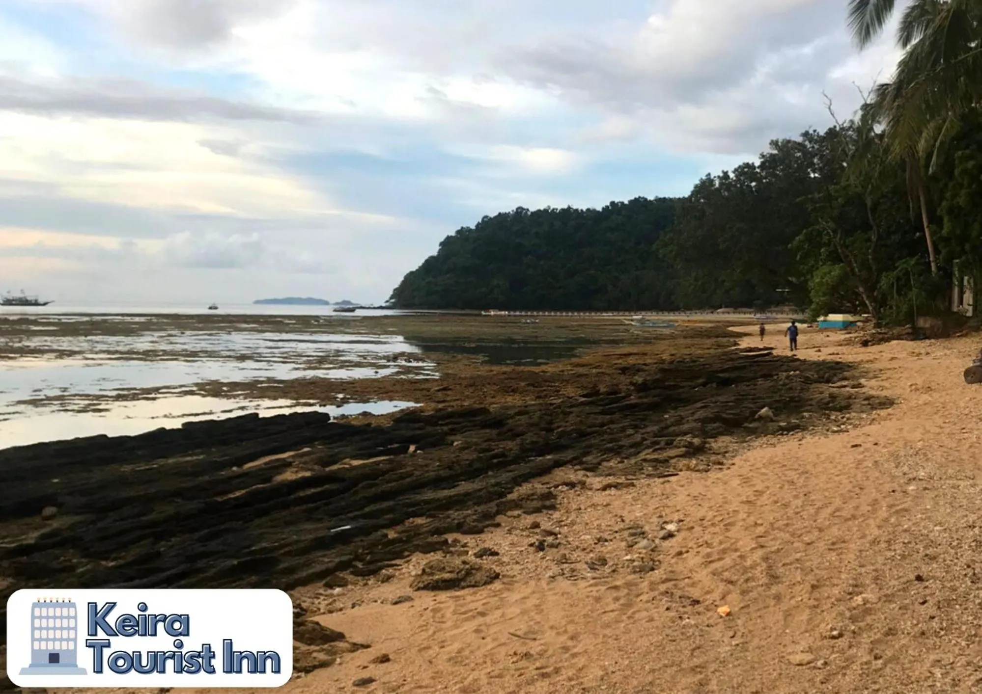 Beach in Keira Backpackers