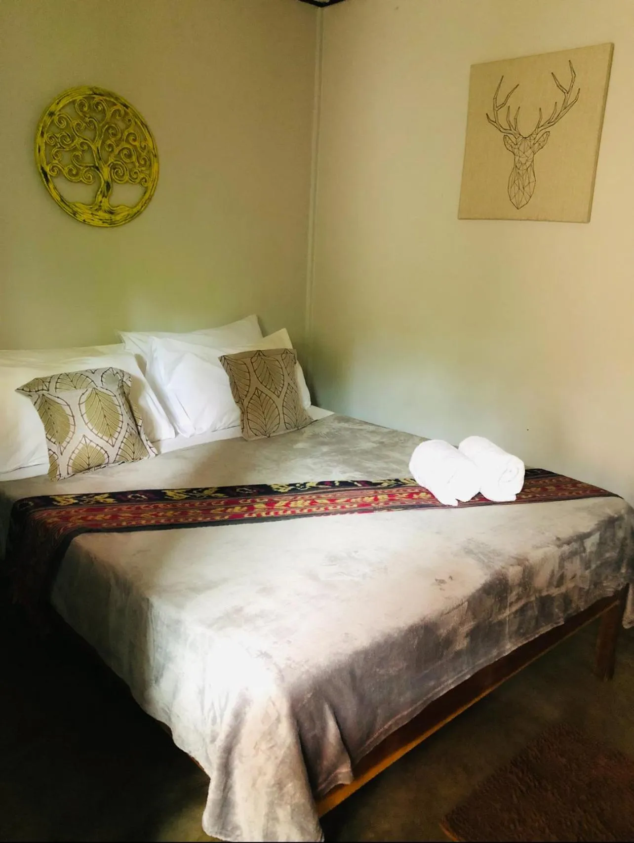 Bed in Keira Backpackers