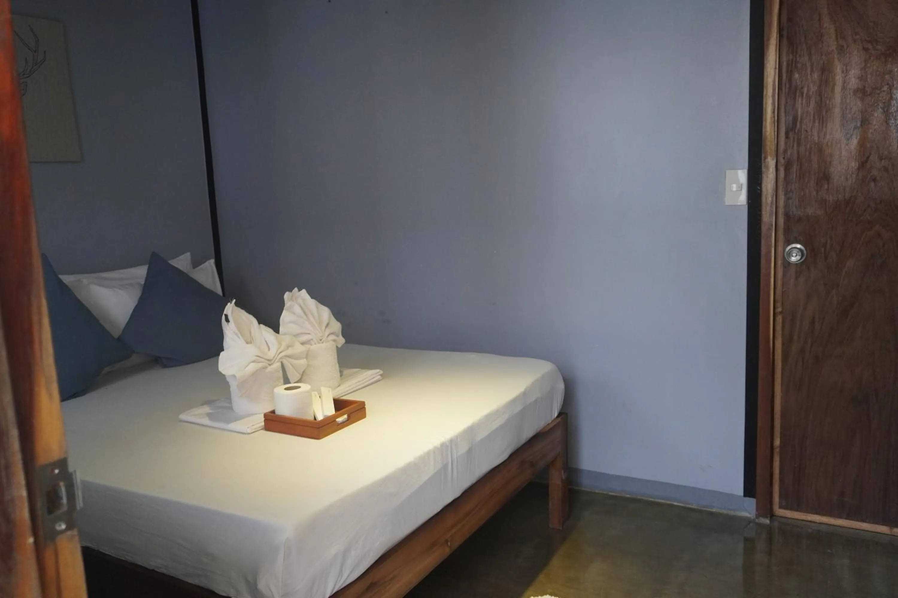 Bed in Keira Backpackers