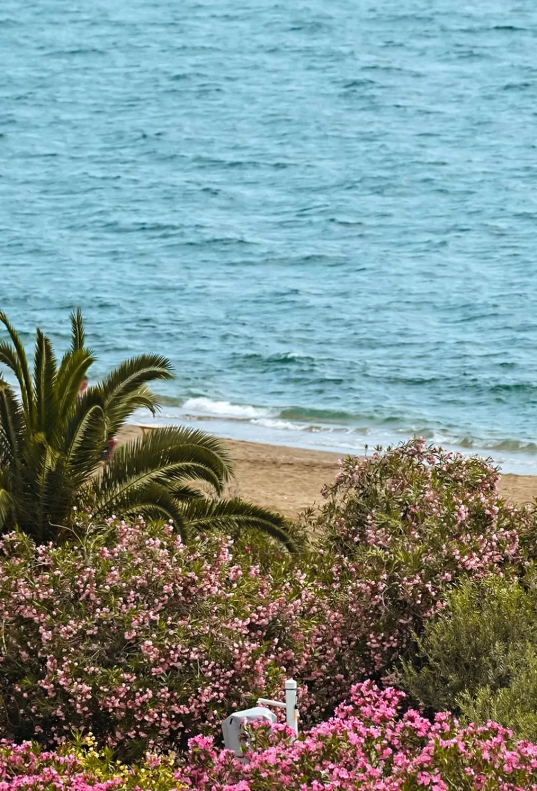 Beach in Club Beyy Resort Hotel - Ultra All Inclusive