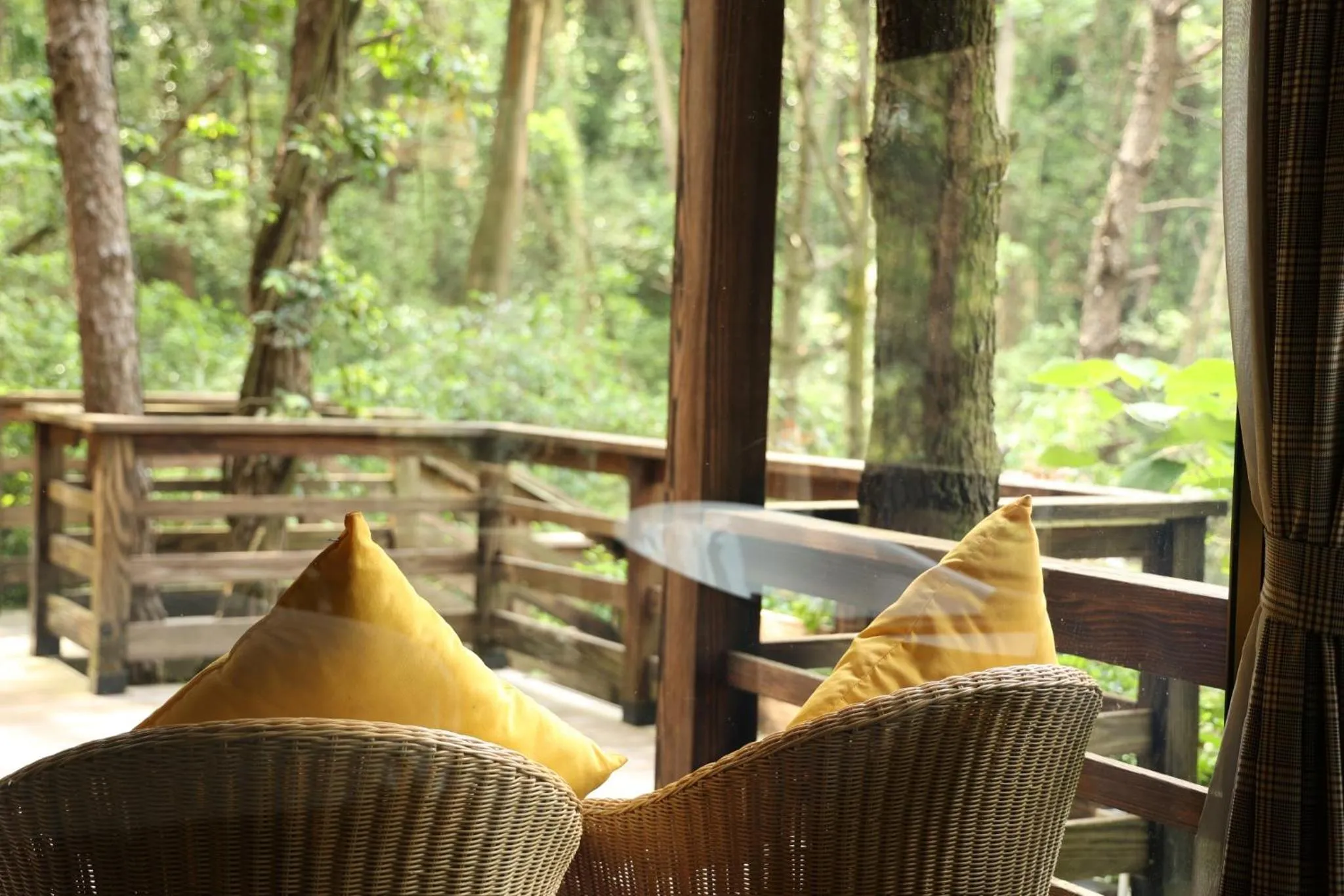 Garden in Amaya Retreat