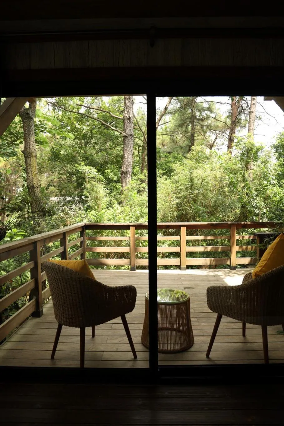 Garden in Amaya Retreat