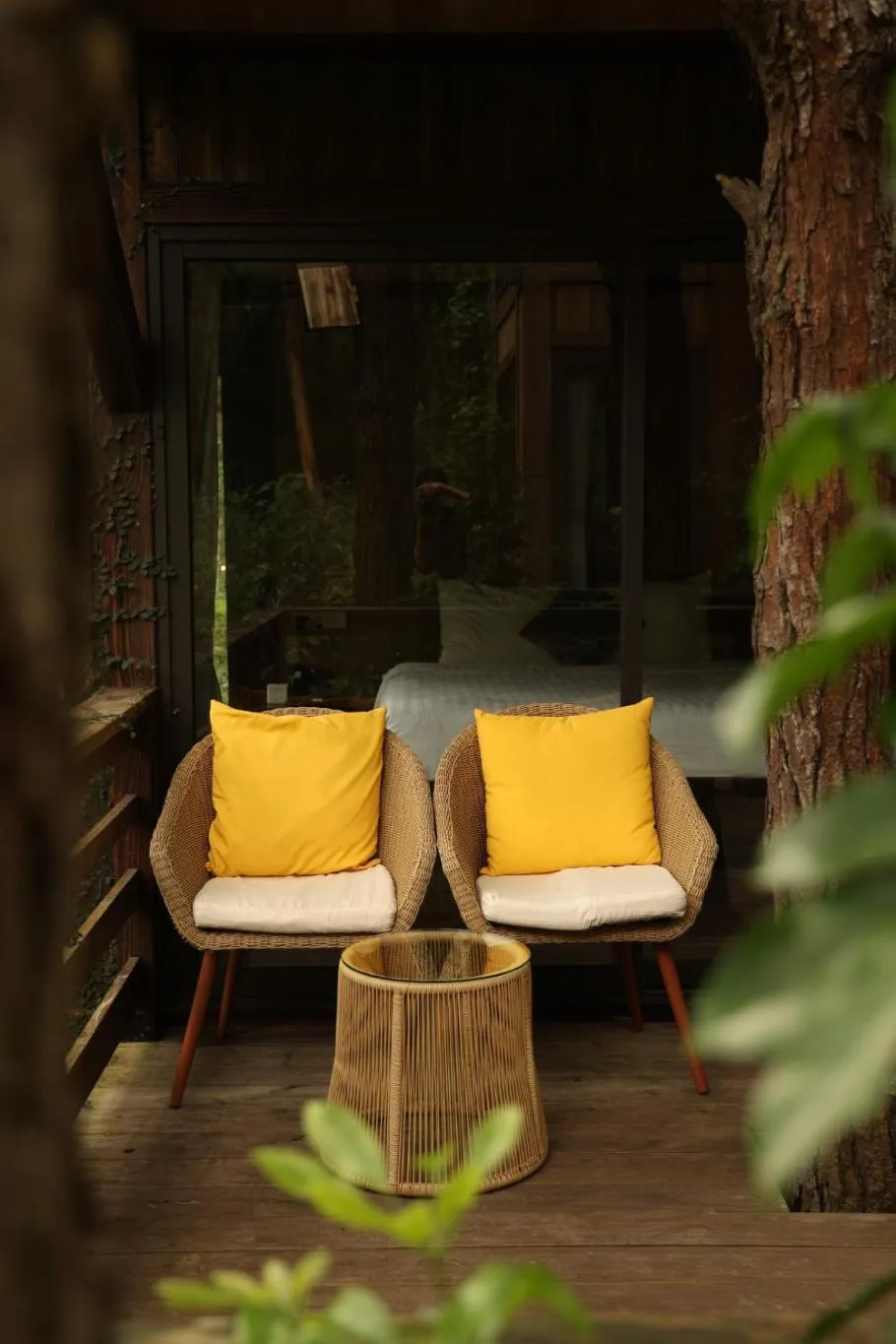 Day in Amaya Retreat