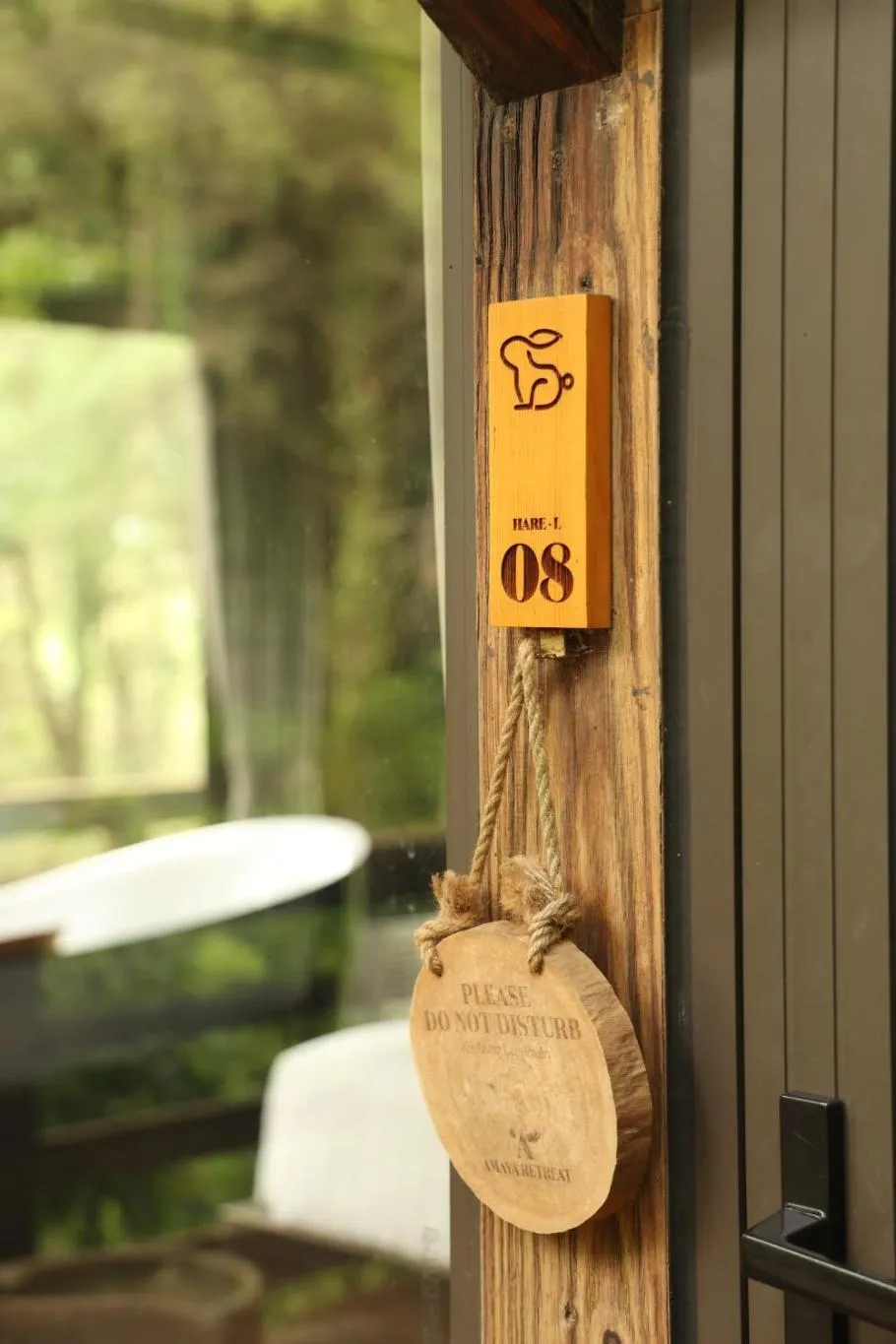 Certificate/Award in Amaya Retreat