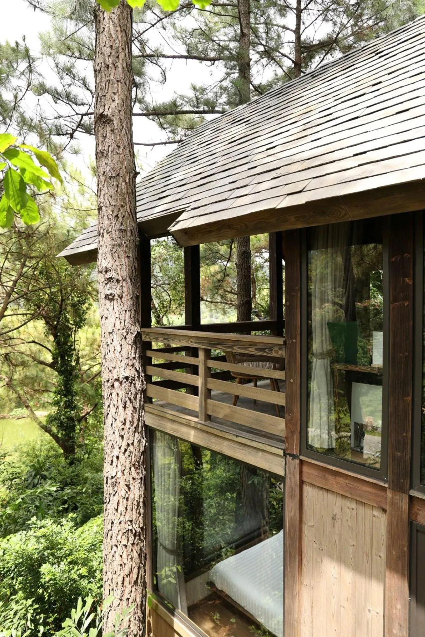 Spring in Amaya Retreat