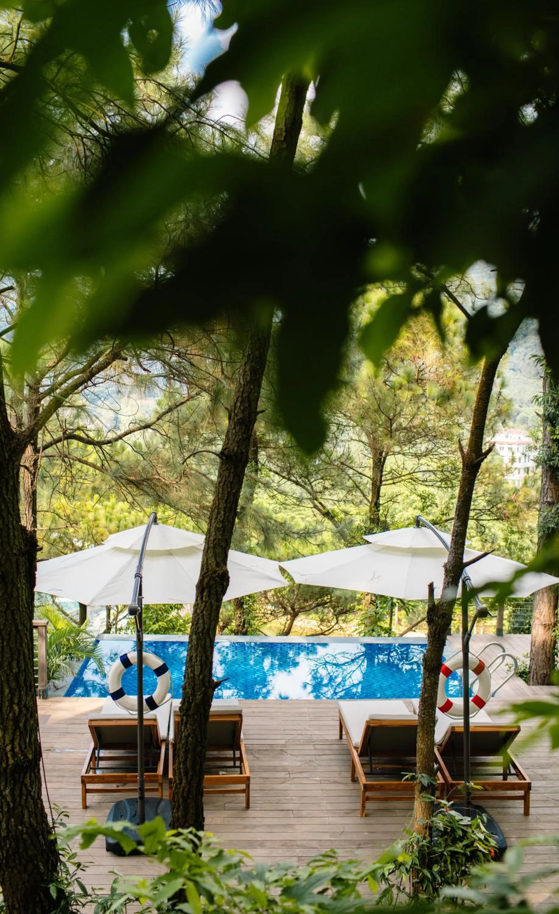 Swimming pool in Amaya Retreat