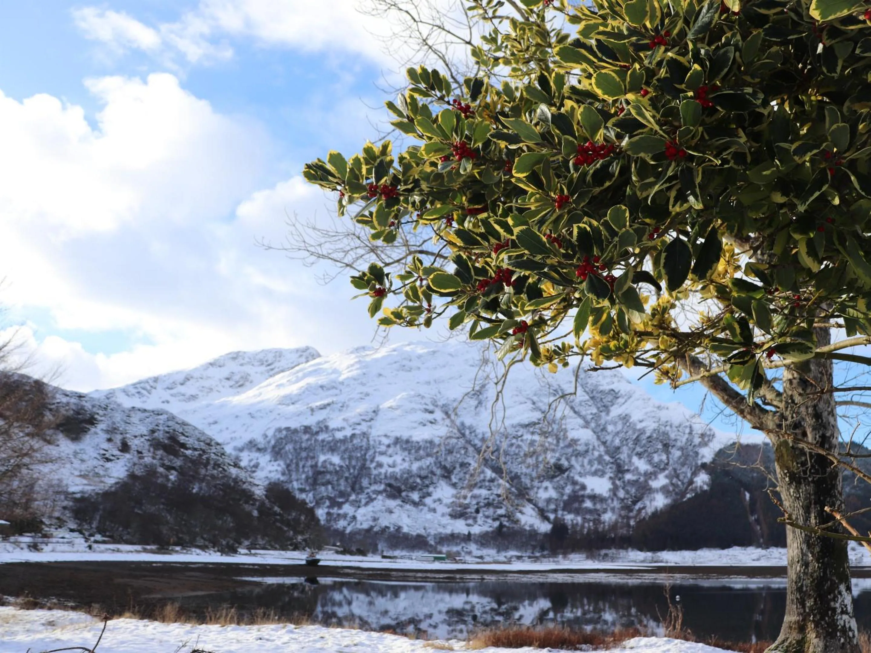View (from property/room) in Kintail Lodge Hotel