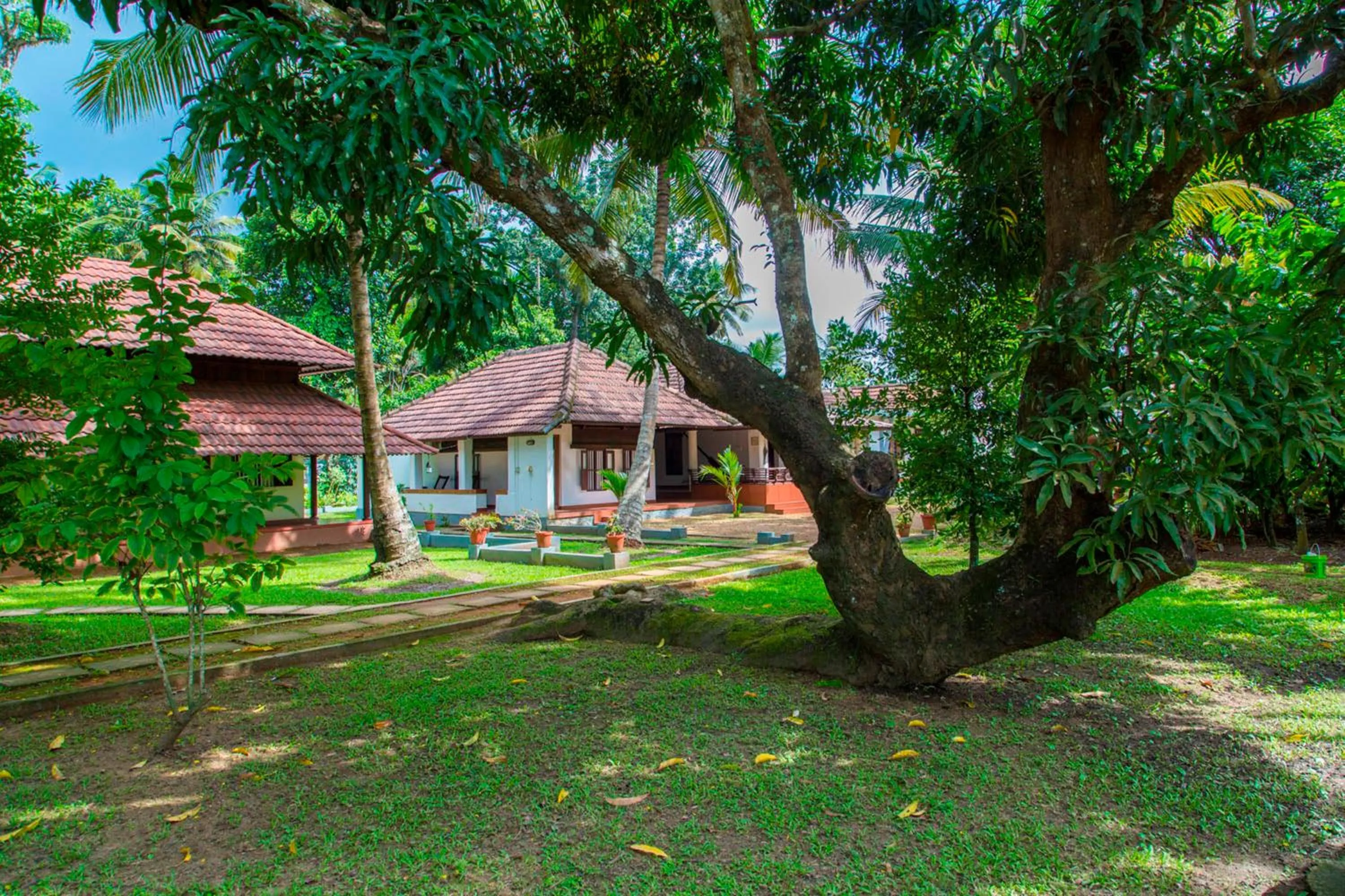 Natural landscape in Kurialacherry House Alleppey