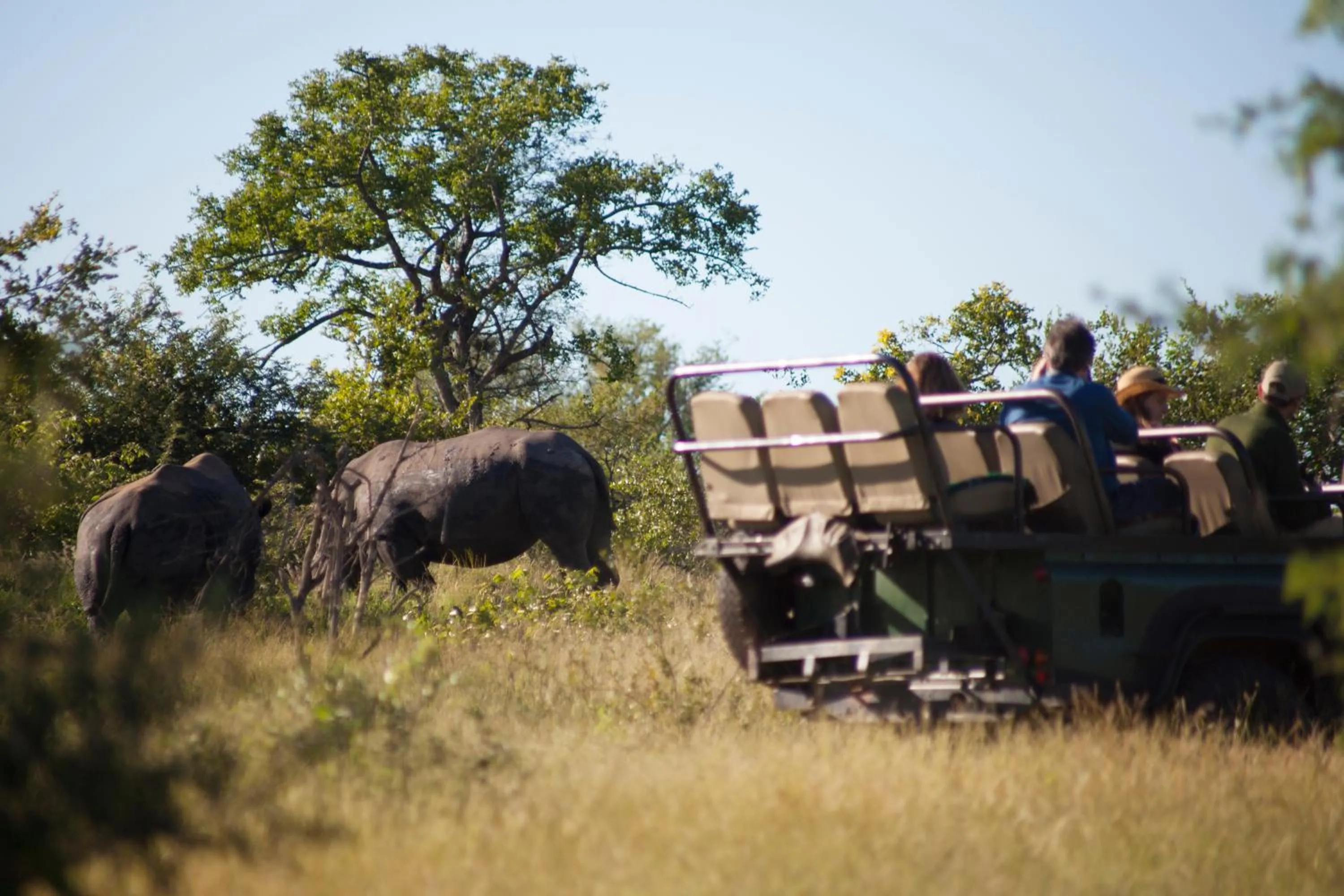 Activities in Baobab Ridge