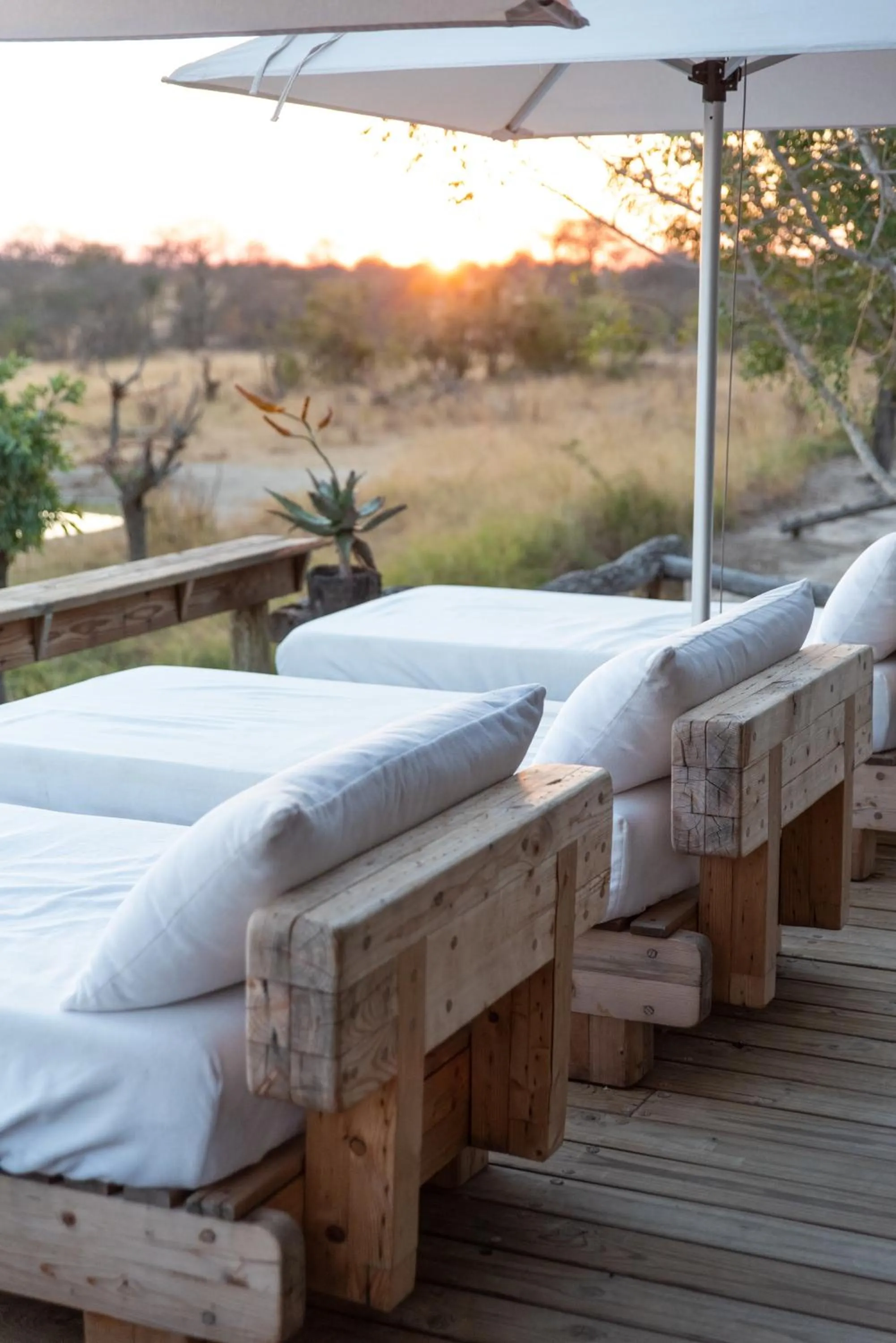 Swimming pool, Bed in Baobab Ridge