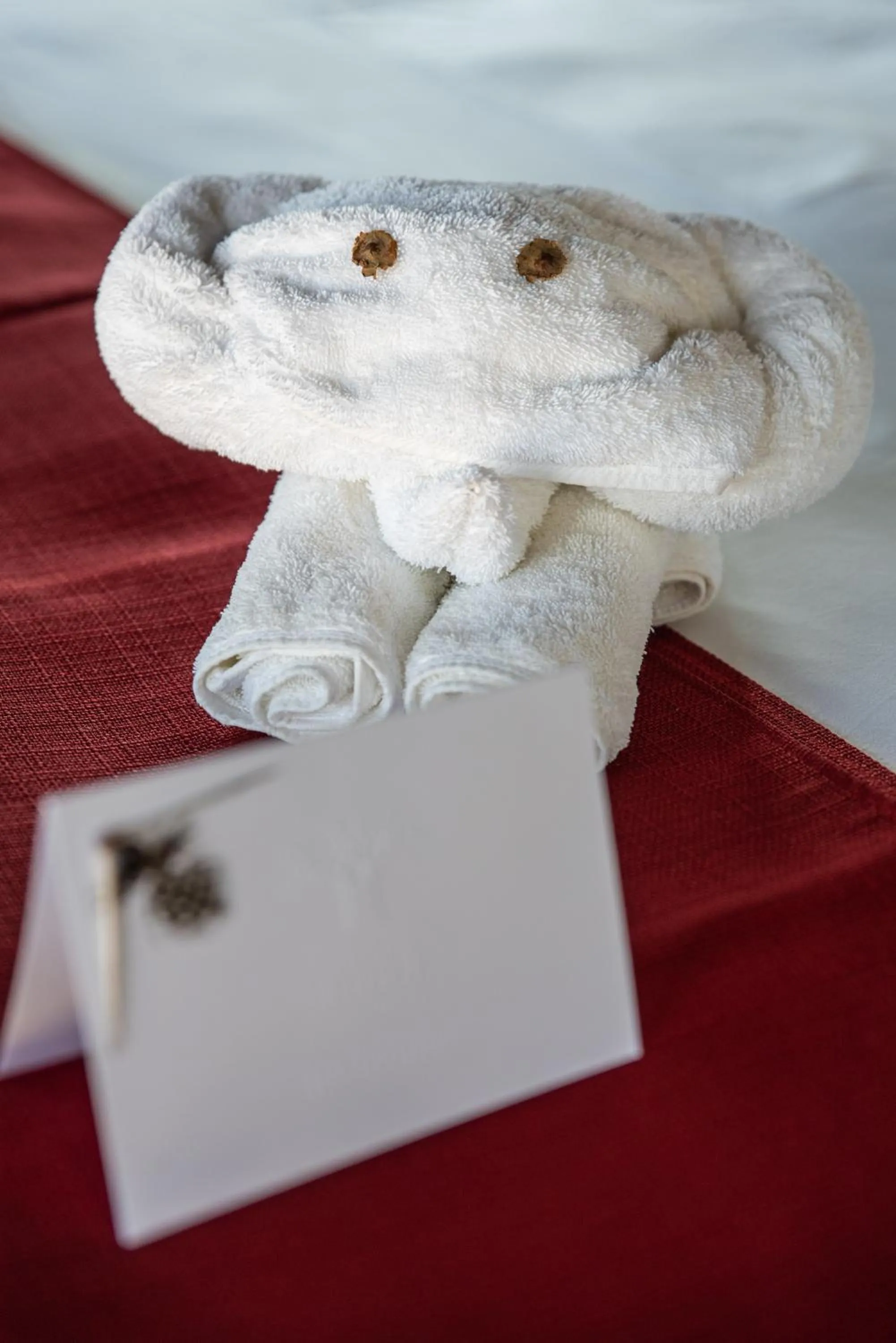 Photo of the whole room in Baobab Ridge